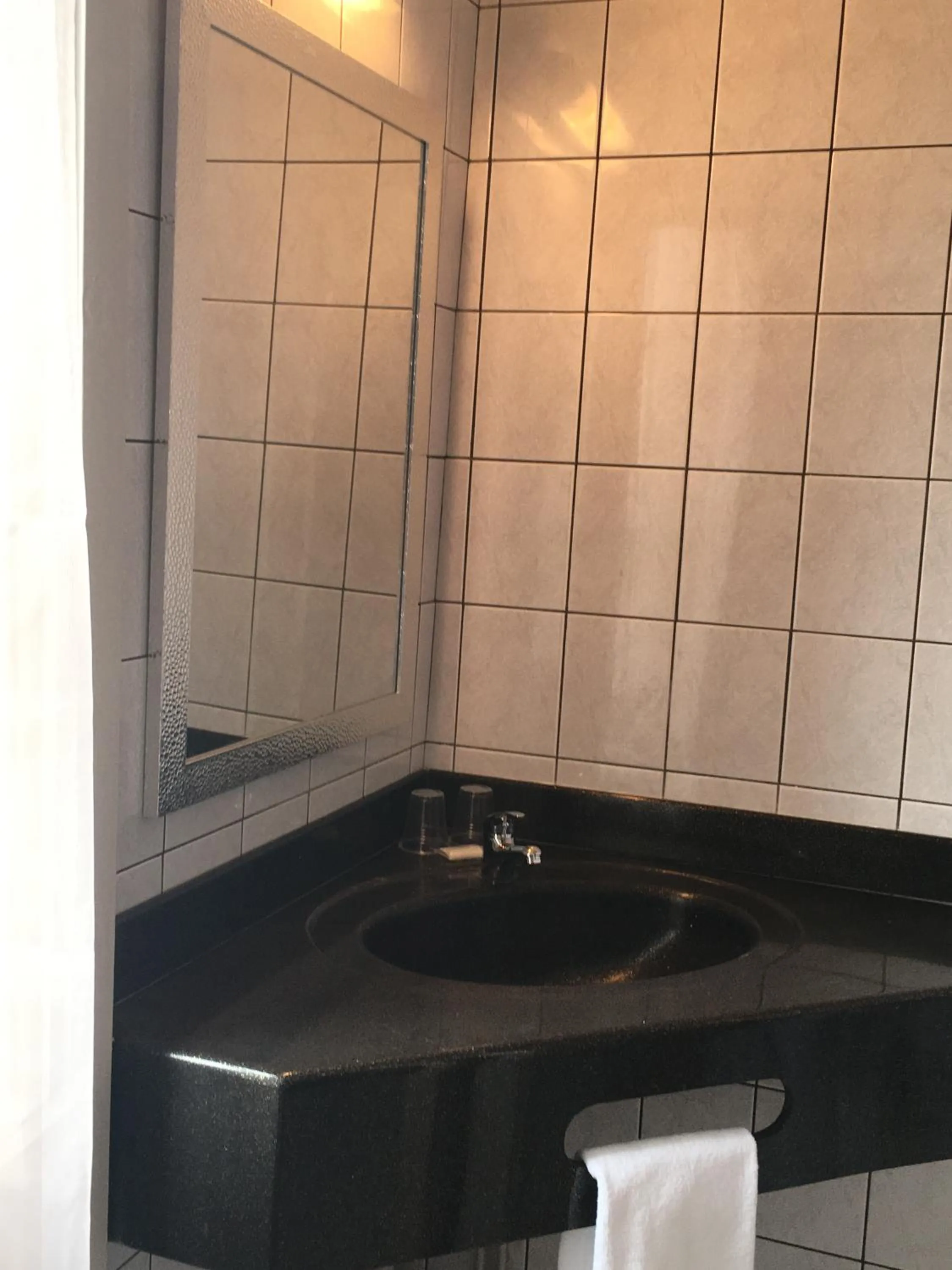 Hotel du Centre - Restaurant le P'tit Gourmet