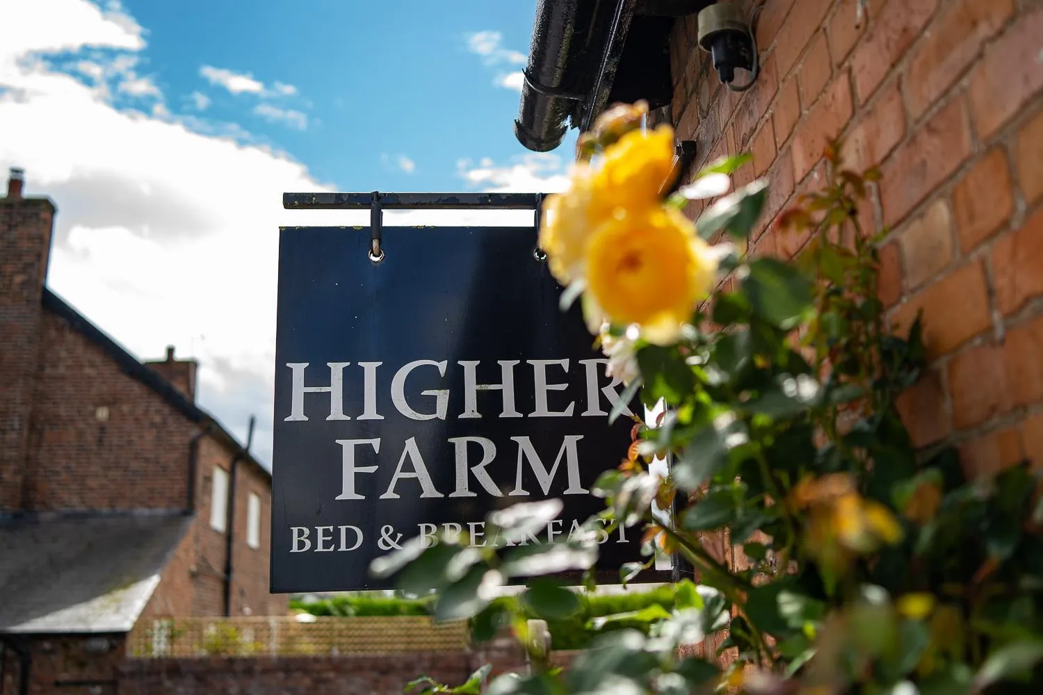 Property building in Higher Farm