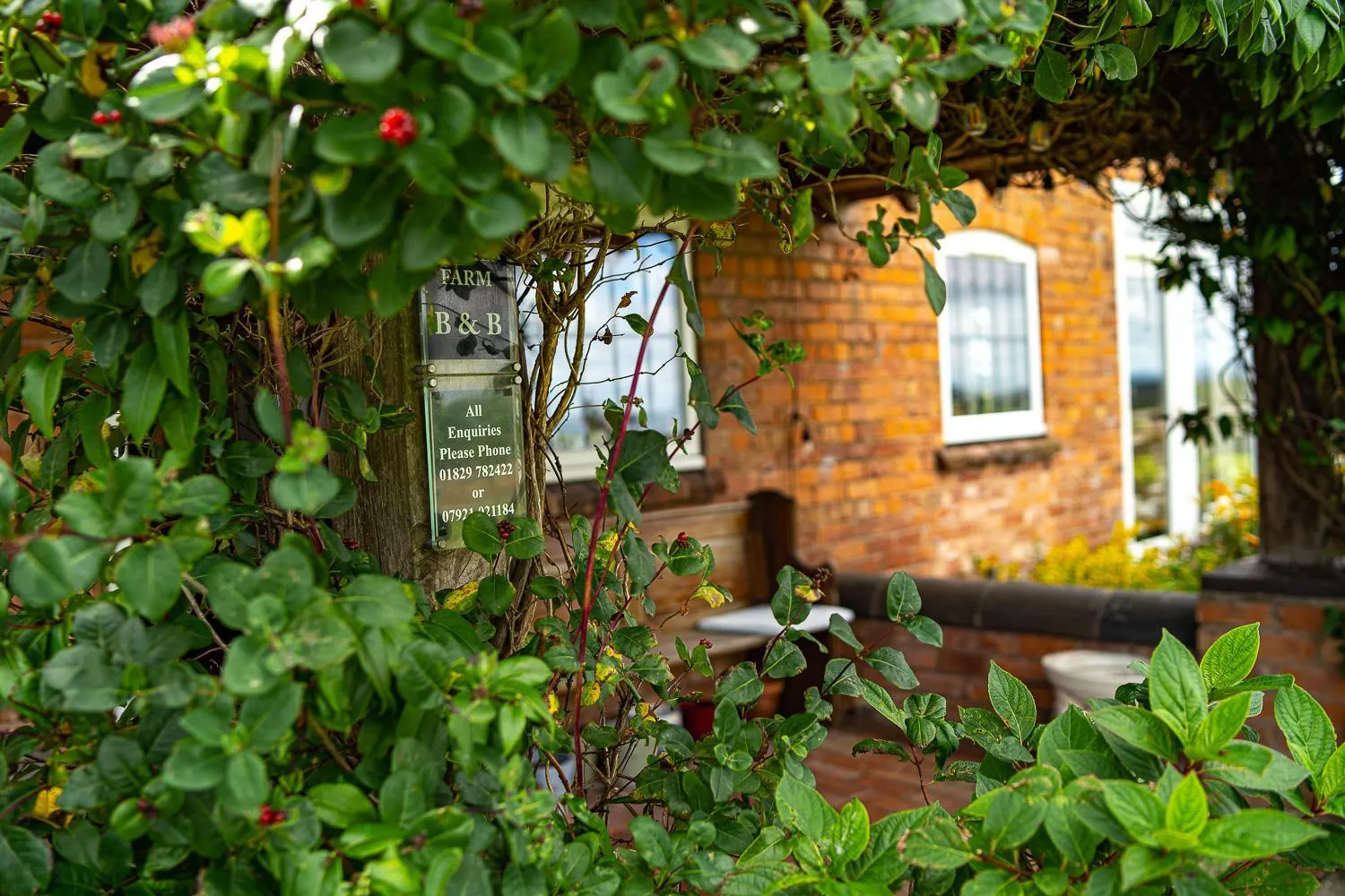 Property building in Higher Farm