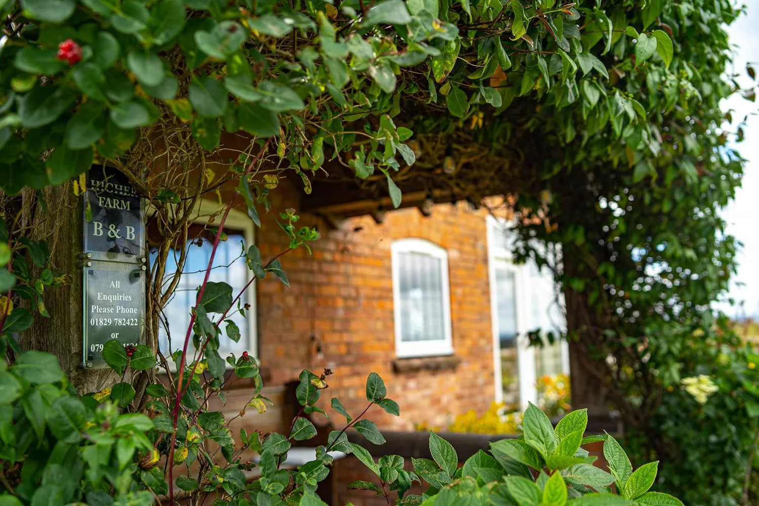 Property building in Higher Farm