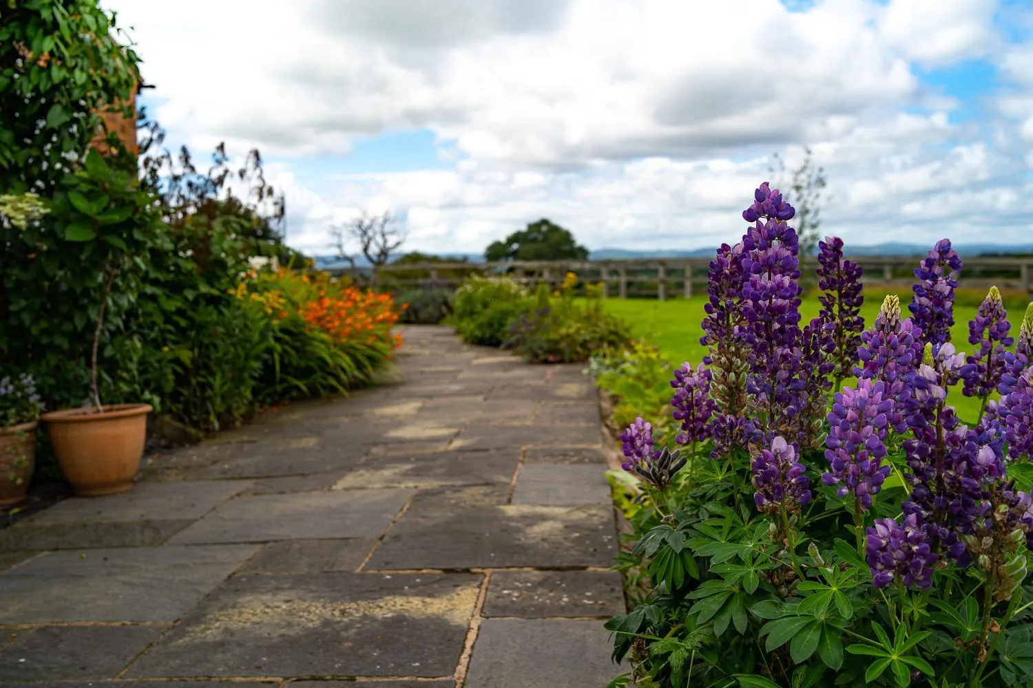 Property building in Higher Farm