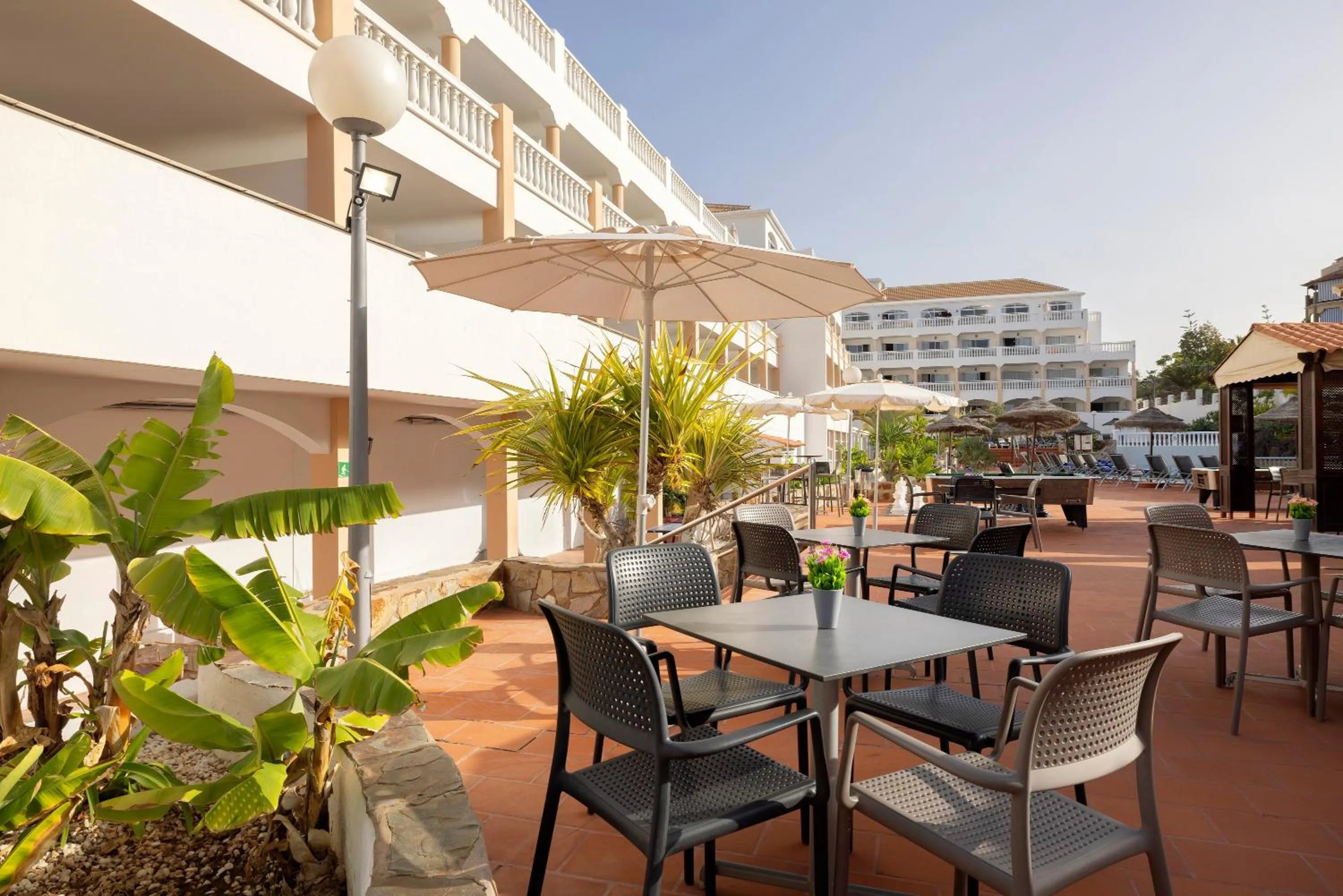 Restaurant/places to eat in whala!tenerife