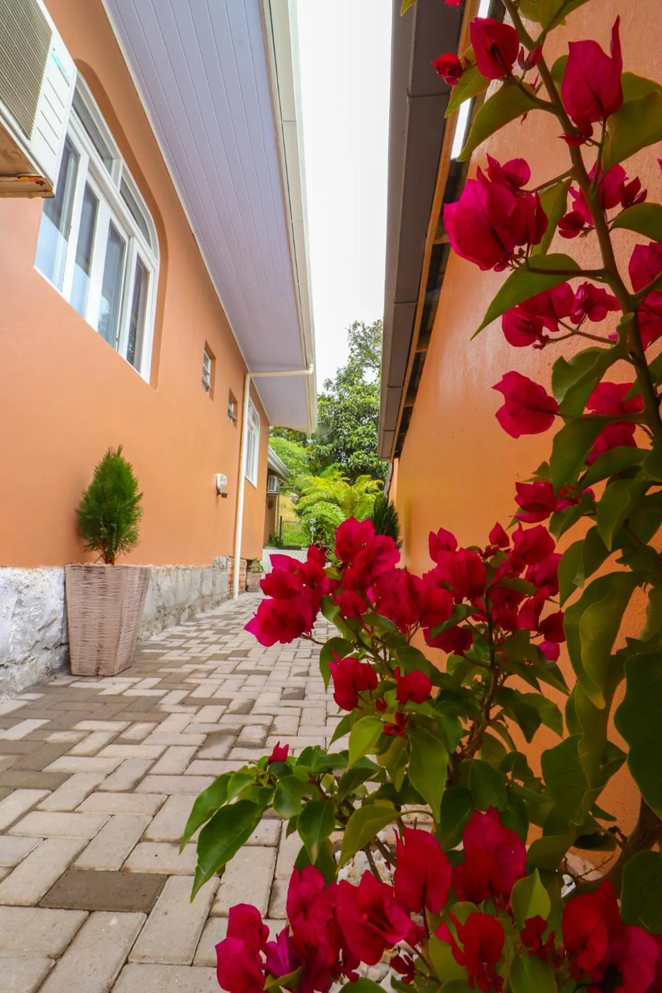 Property building in Pousada Tia Eni