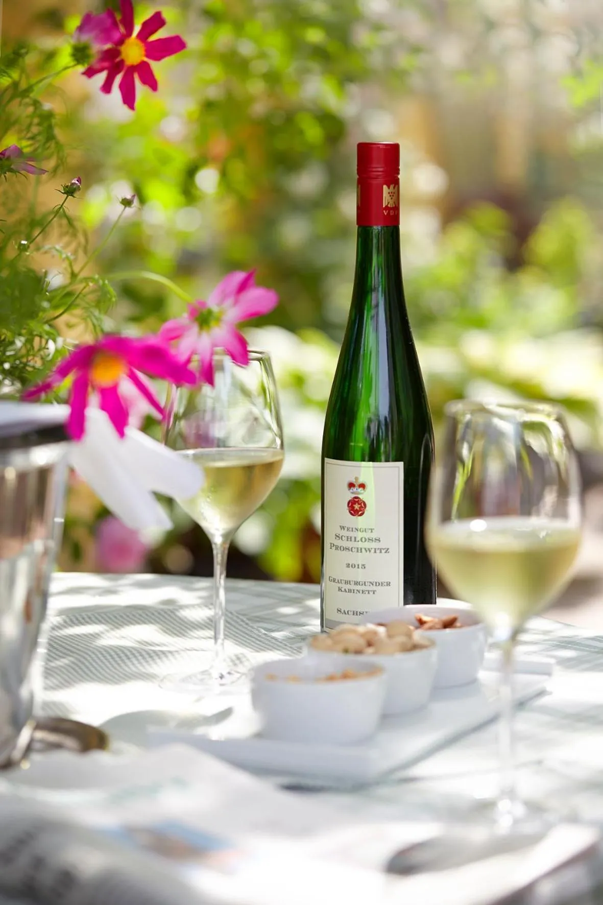 Patio in Fährhaus Meißen B&B