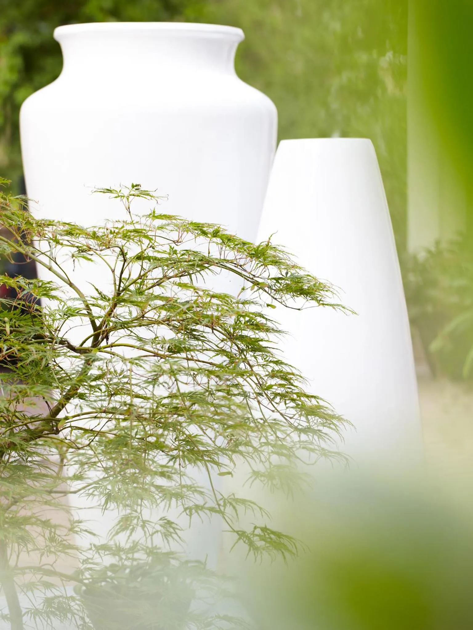 Patio in Fährhaus Meißen B&B