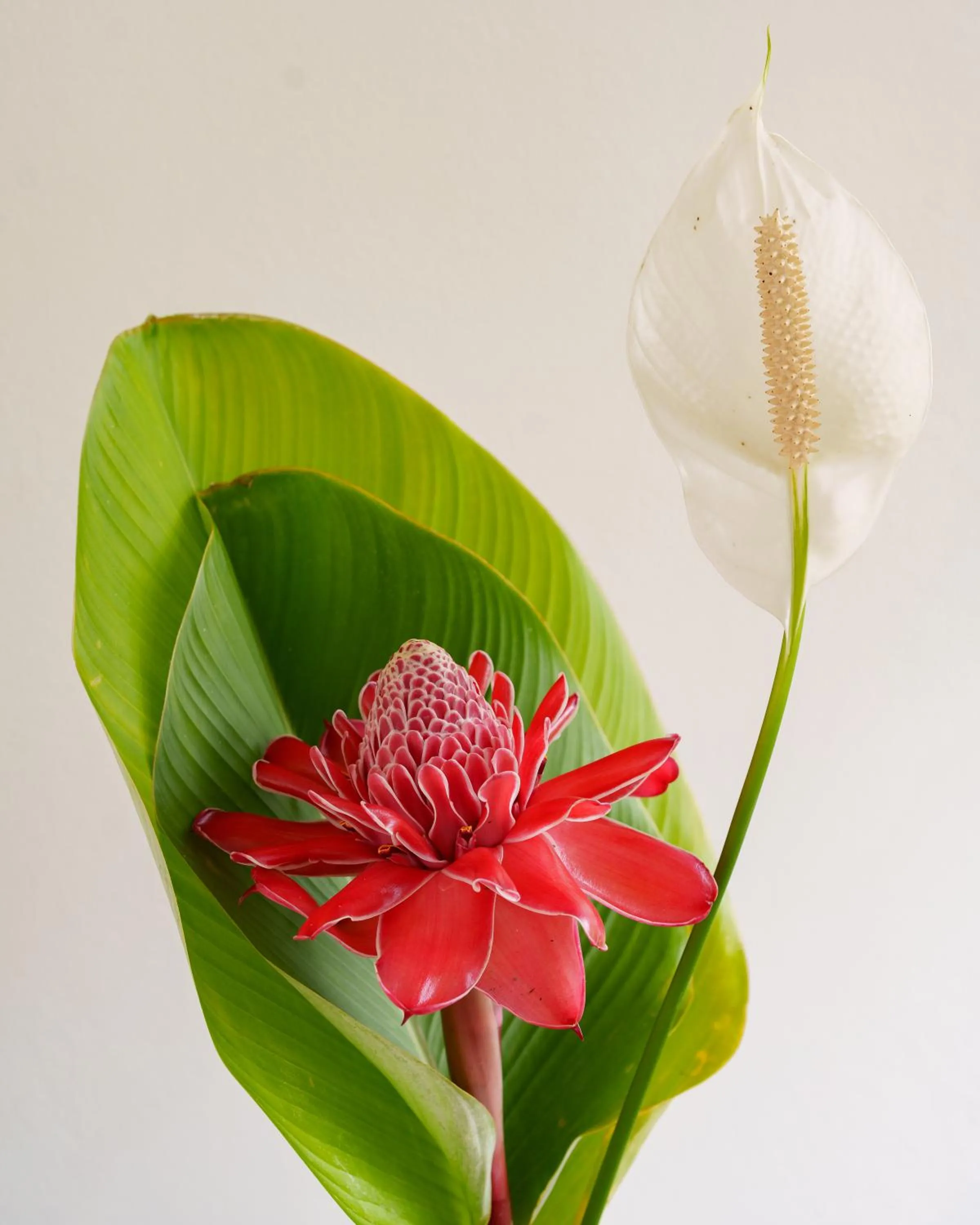 Decorative detail in Casa Poema Paraty