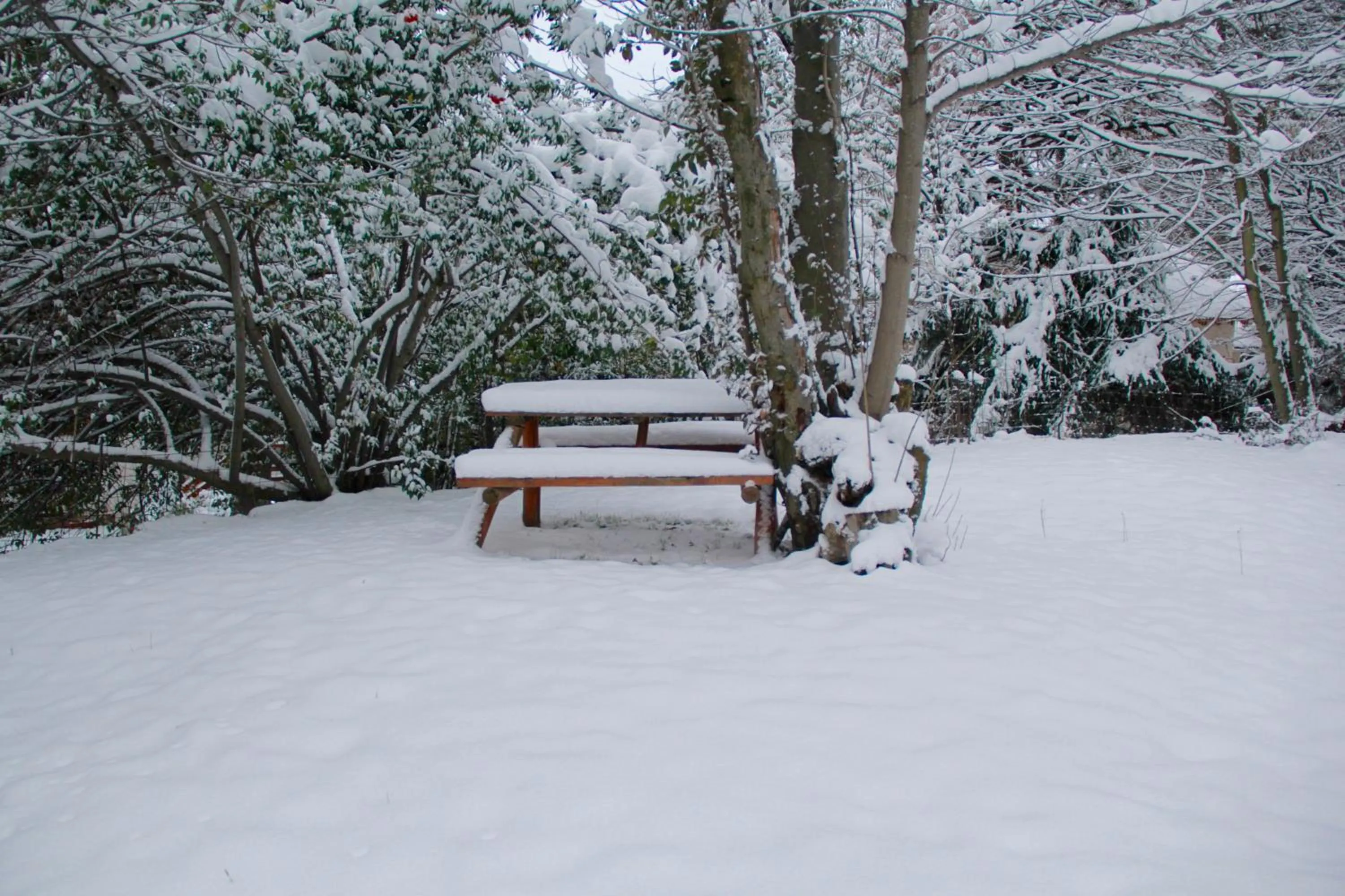 Winter in LA PONDEROSA Apart Hotel