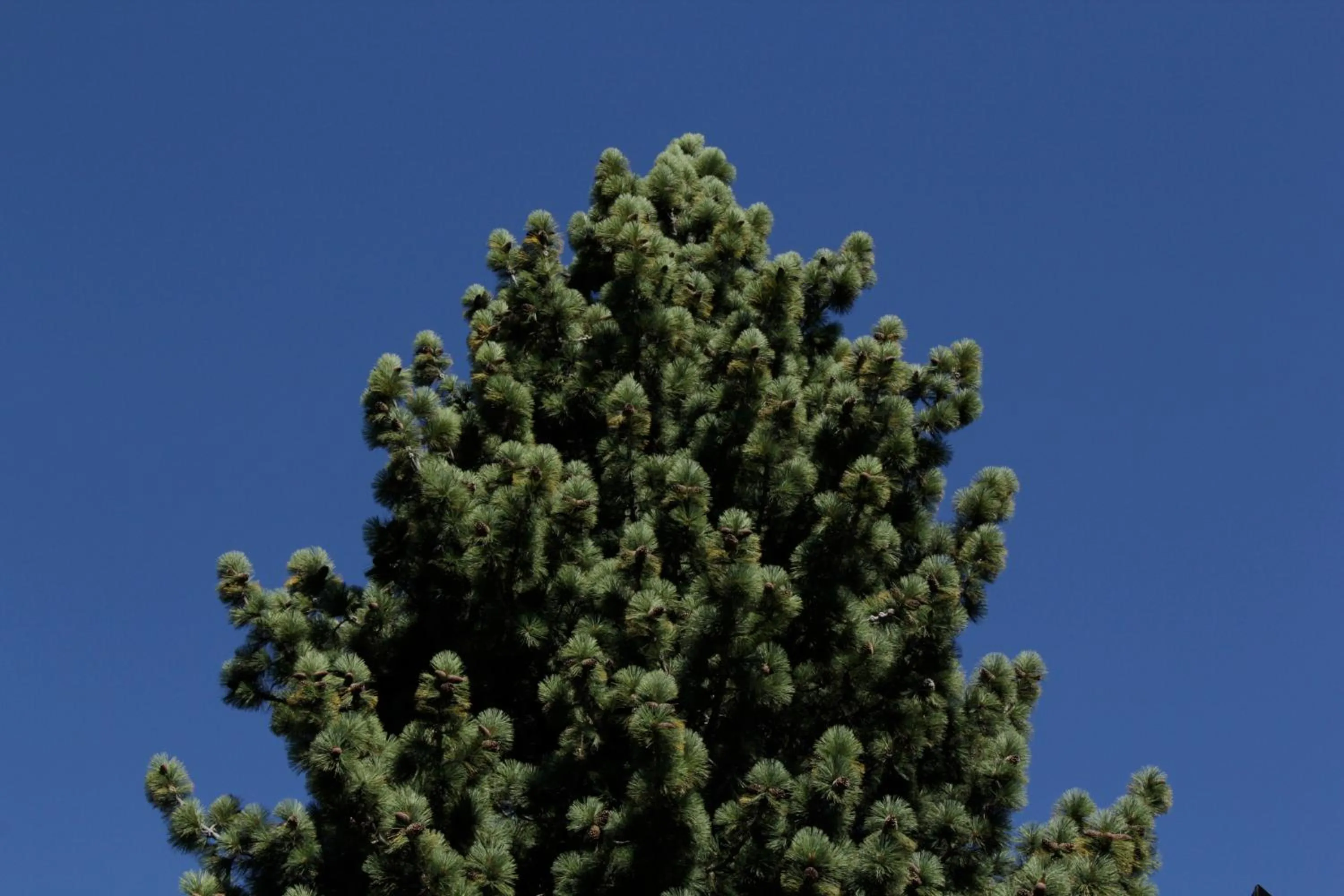 Other in LA PONDEROSA Apart Hotel