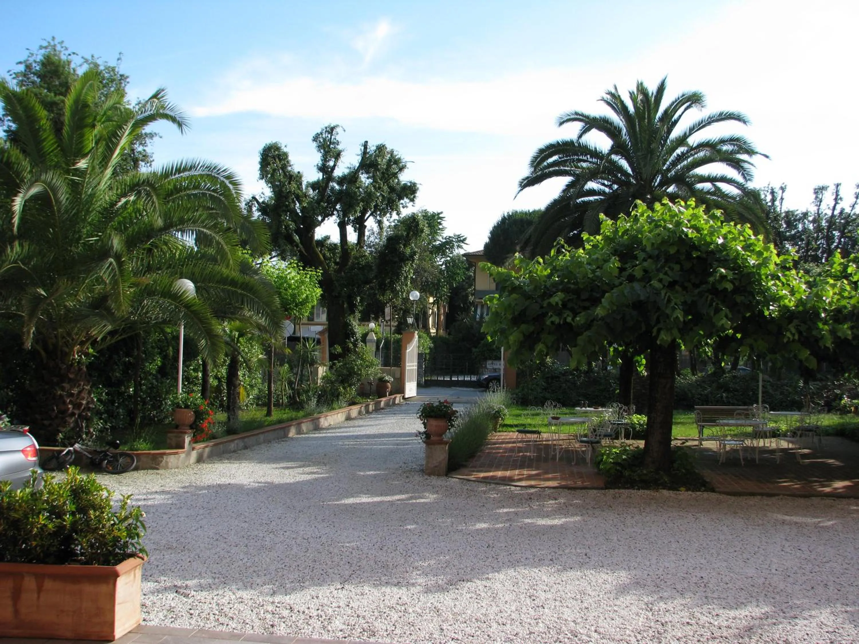 Garden in Hotel Bellonda