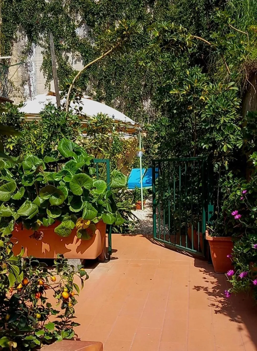 Garden view in Bed and Breakfast Rosangela