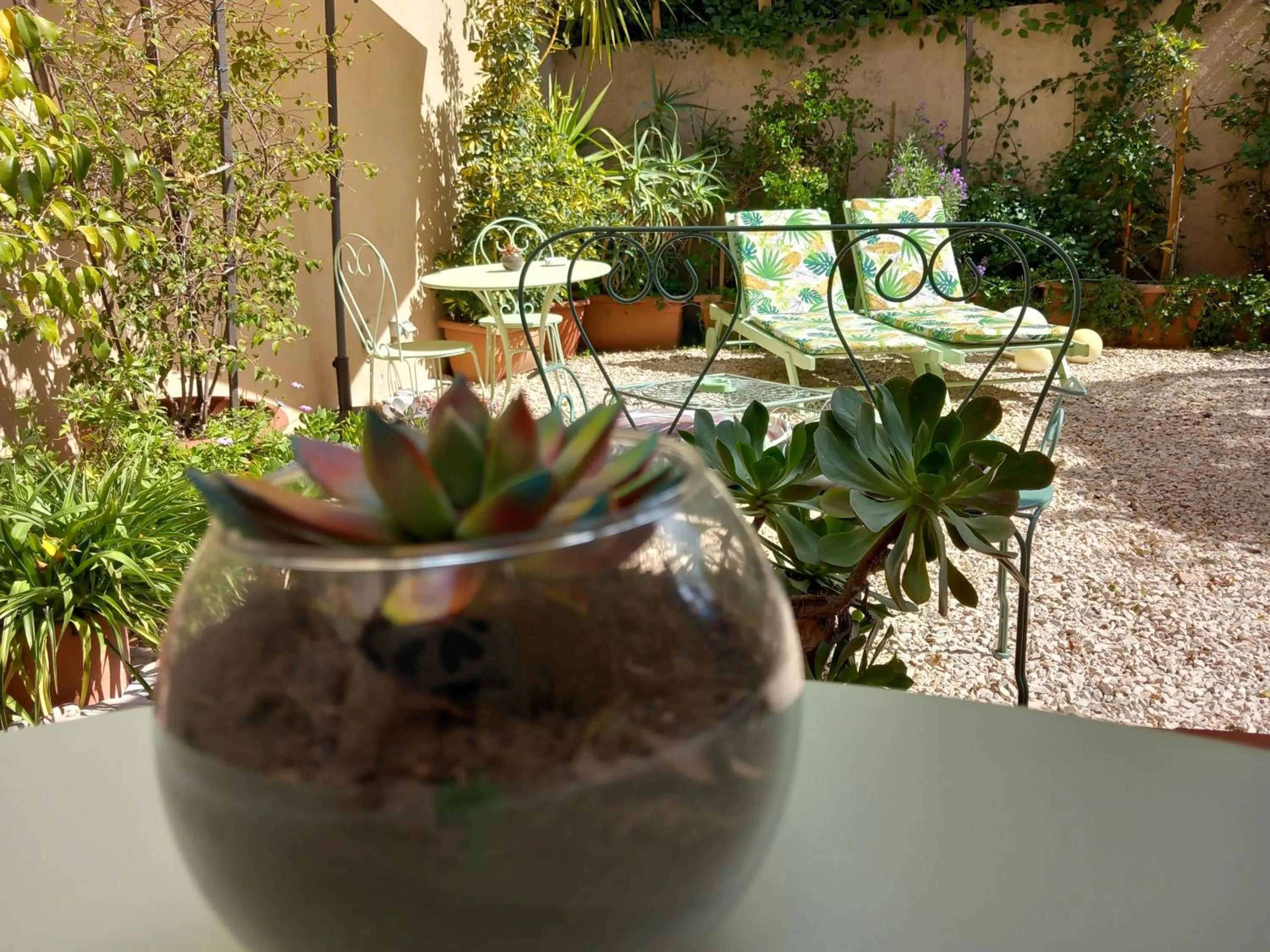 Garden in Bed and Breakfast Rosangela