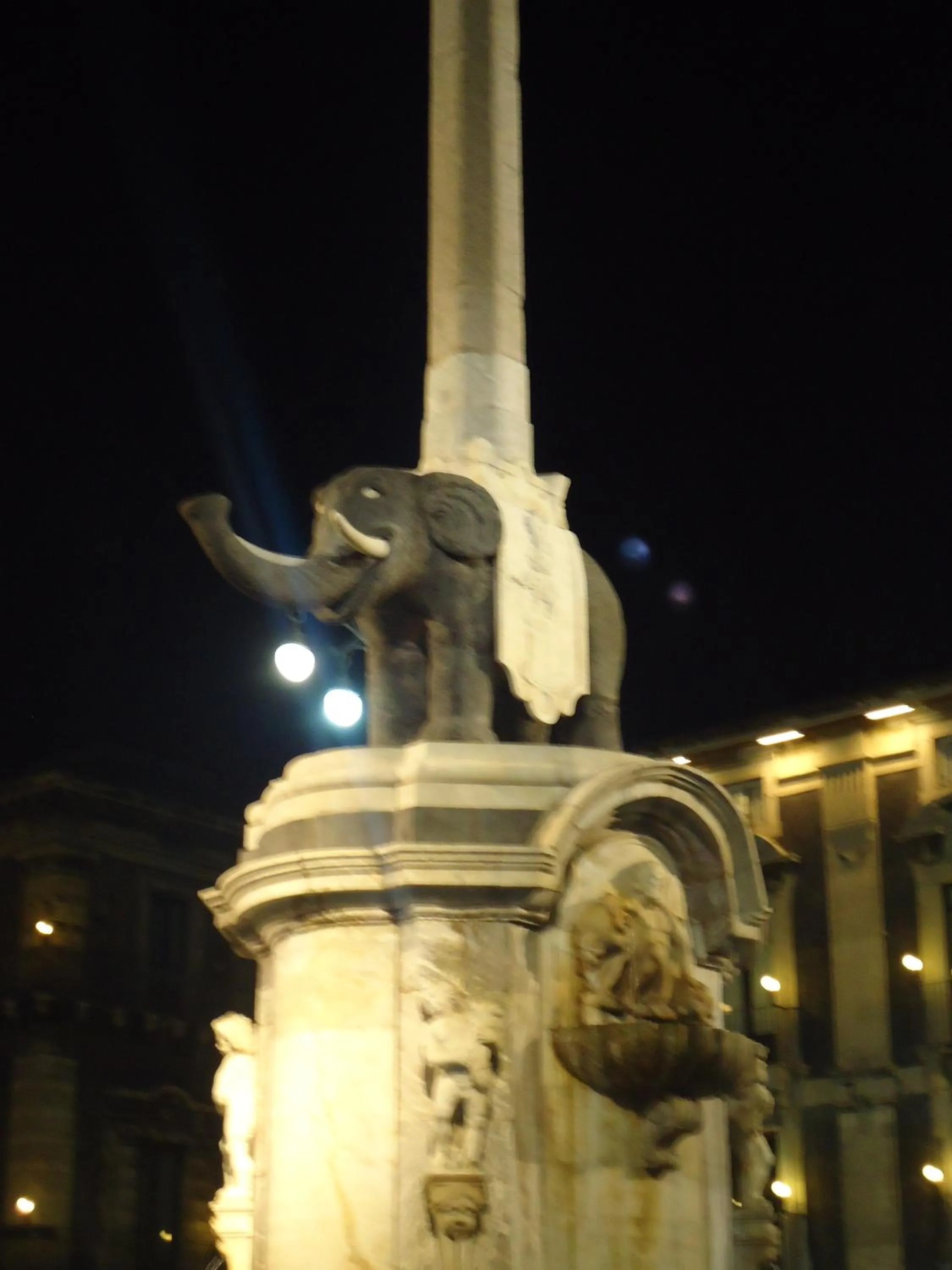 Area and facilities in Hotel Trieste