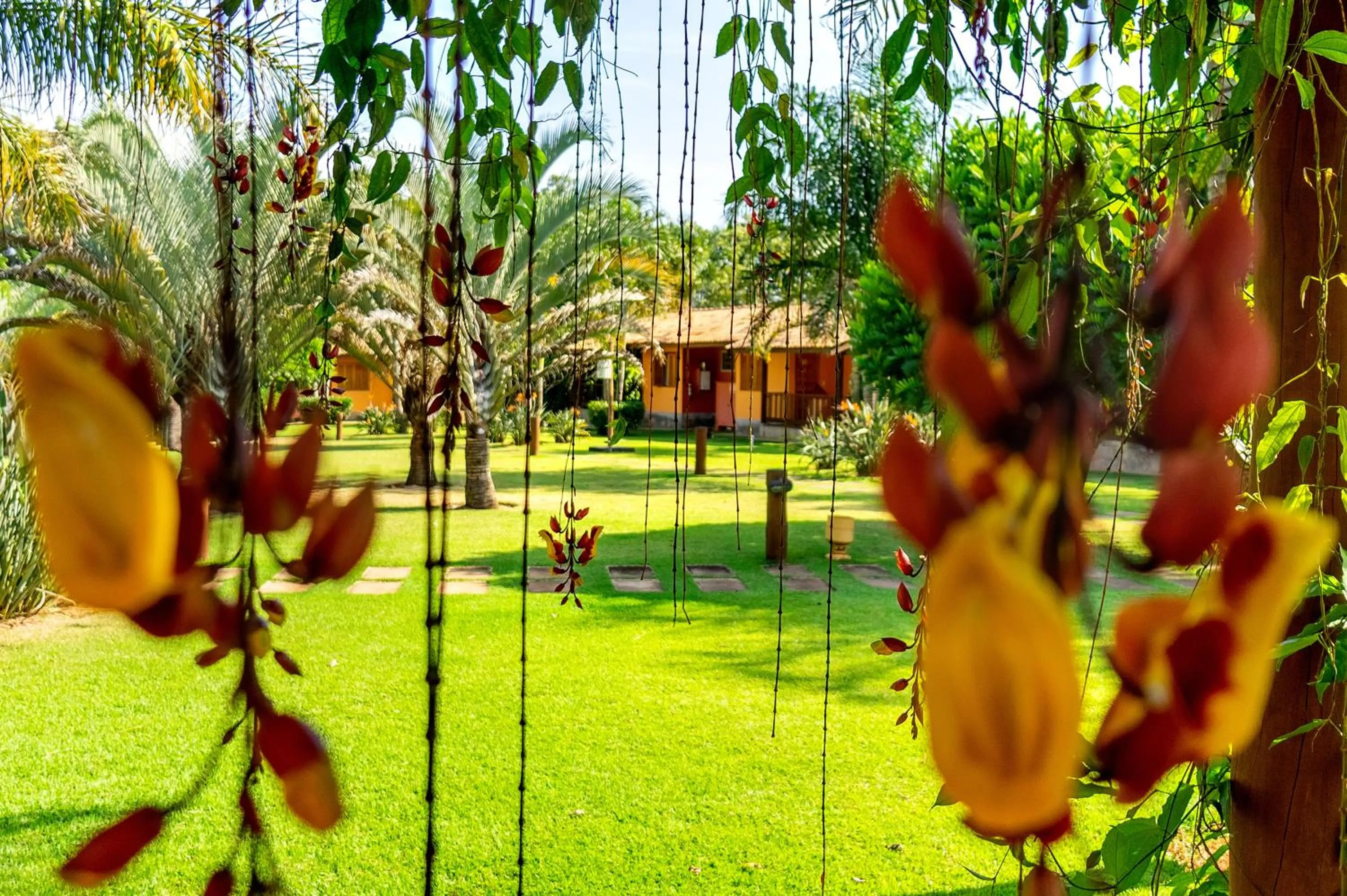 Garden view in Pousada Paiol