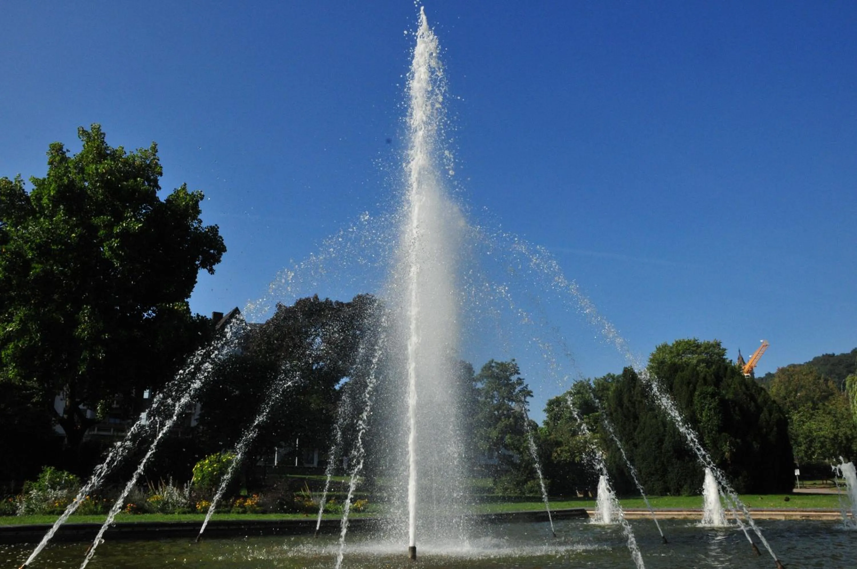 Area and facilities in Hotel zum Anker