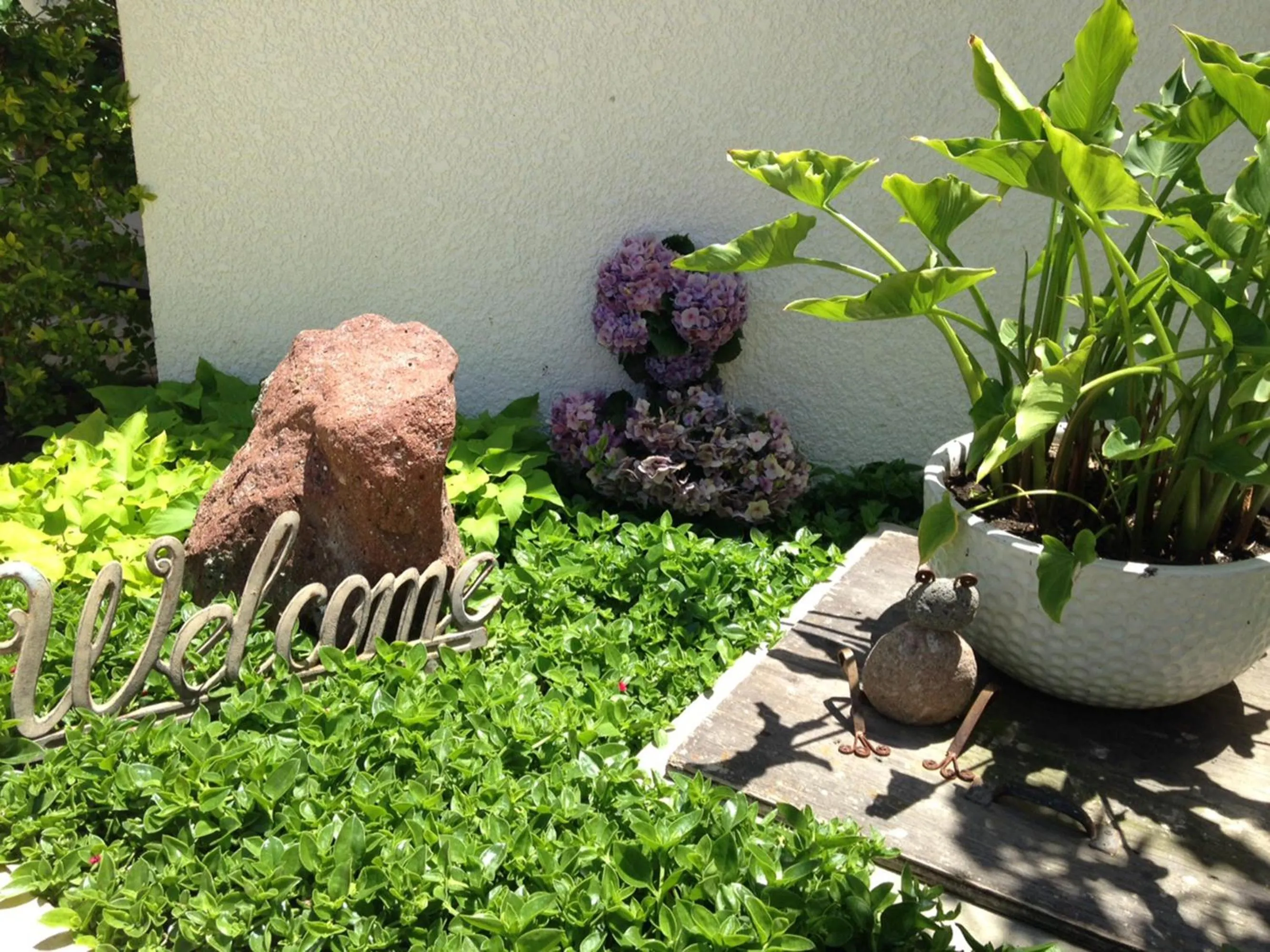 Garden in Dali Suites -Accommodations in Playas de Tijuana