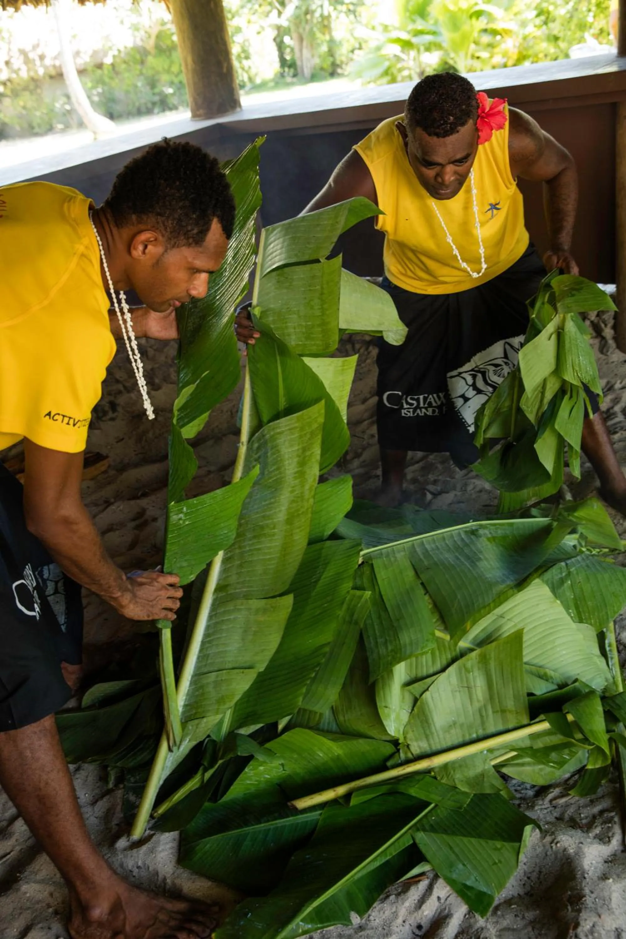 Property building in Castaway Island, Fiji