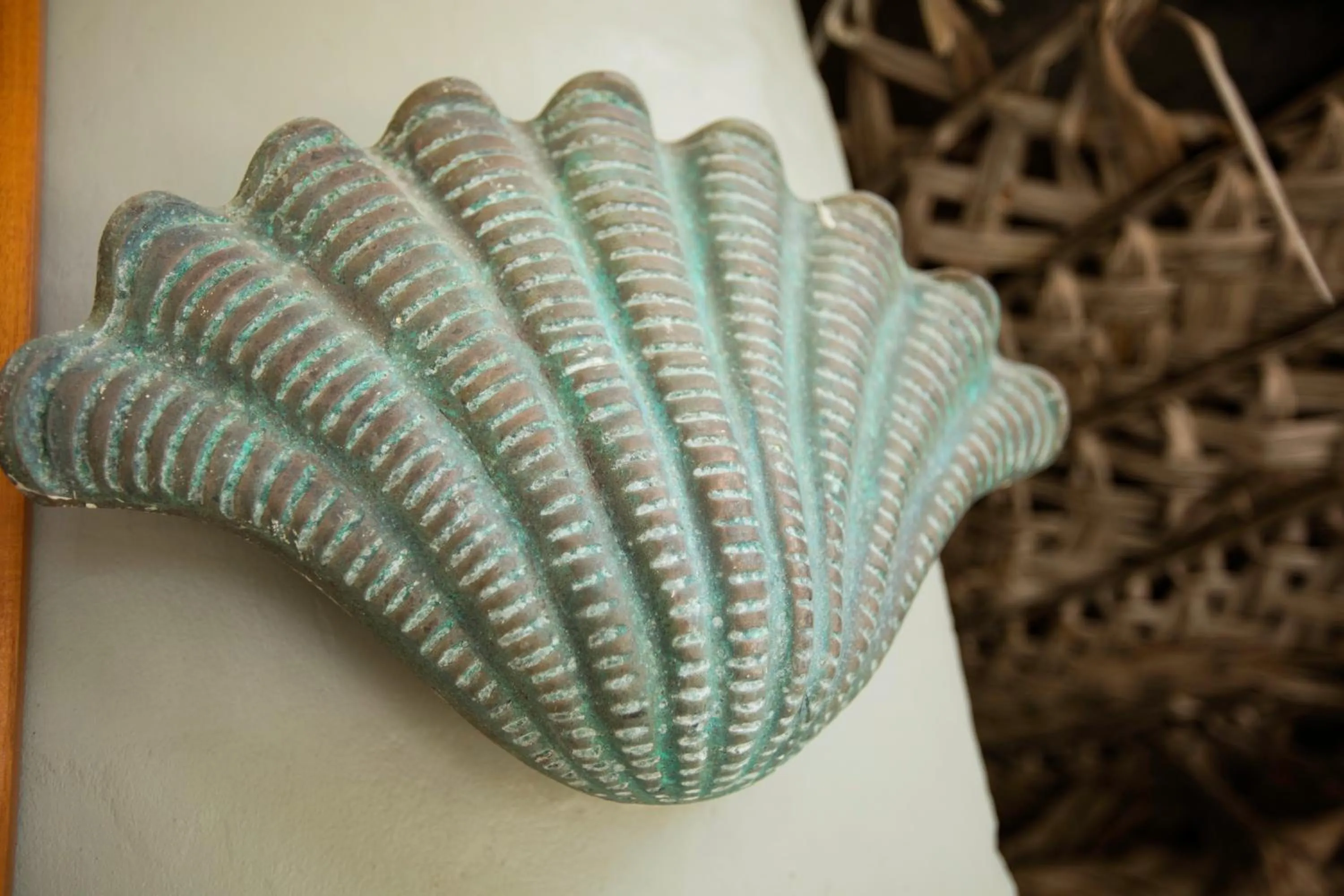 Castaway Island, Fiji