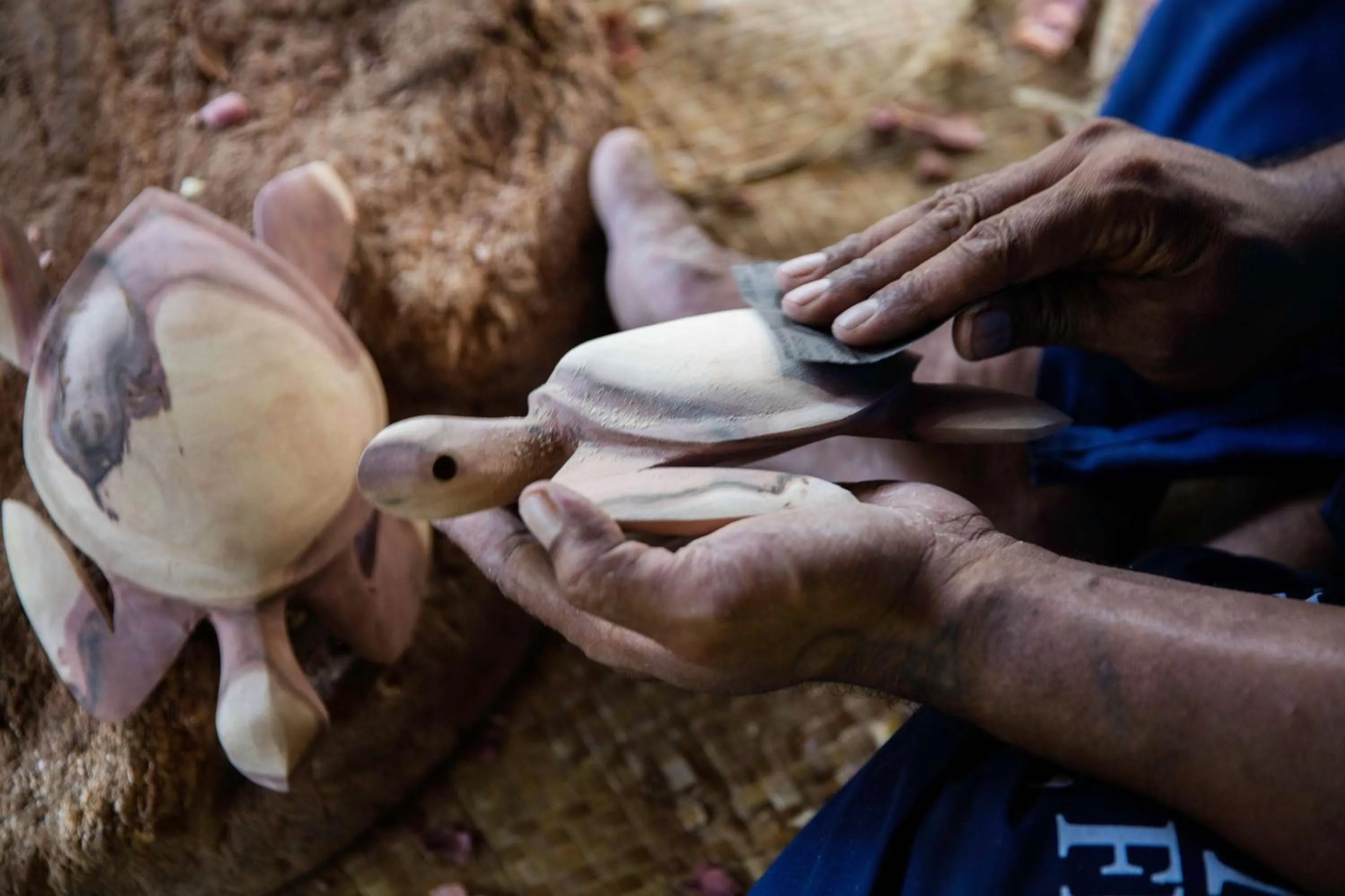 Activities in Castaway Island, Fiji