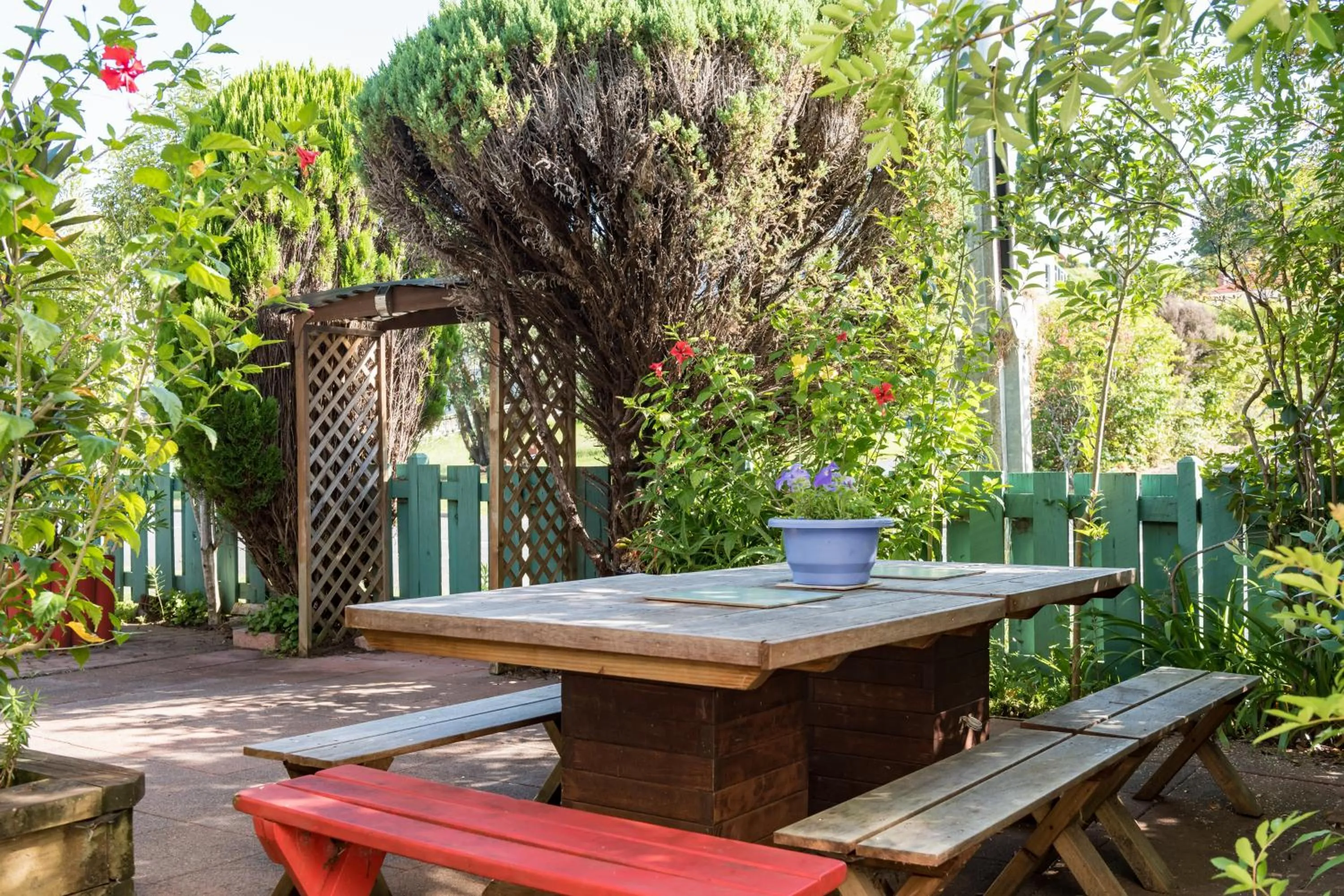 Day in Bay of Islands Lodge