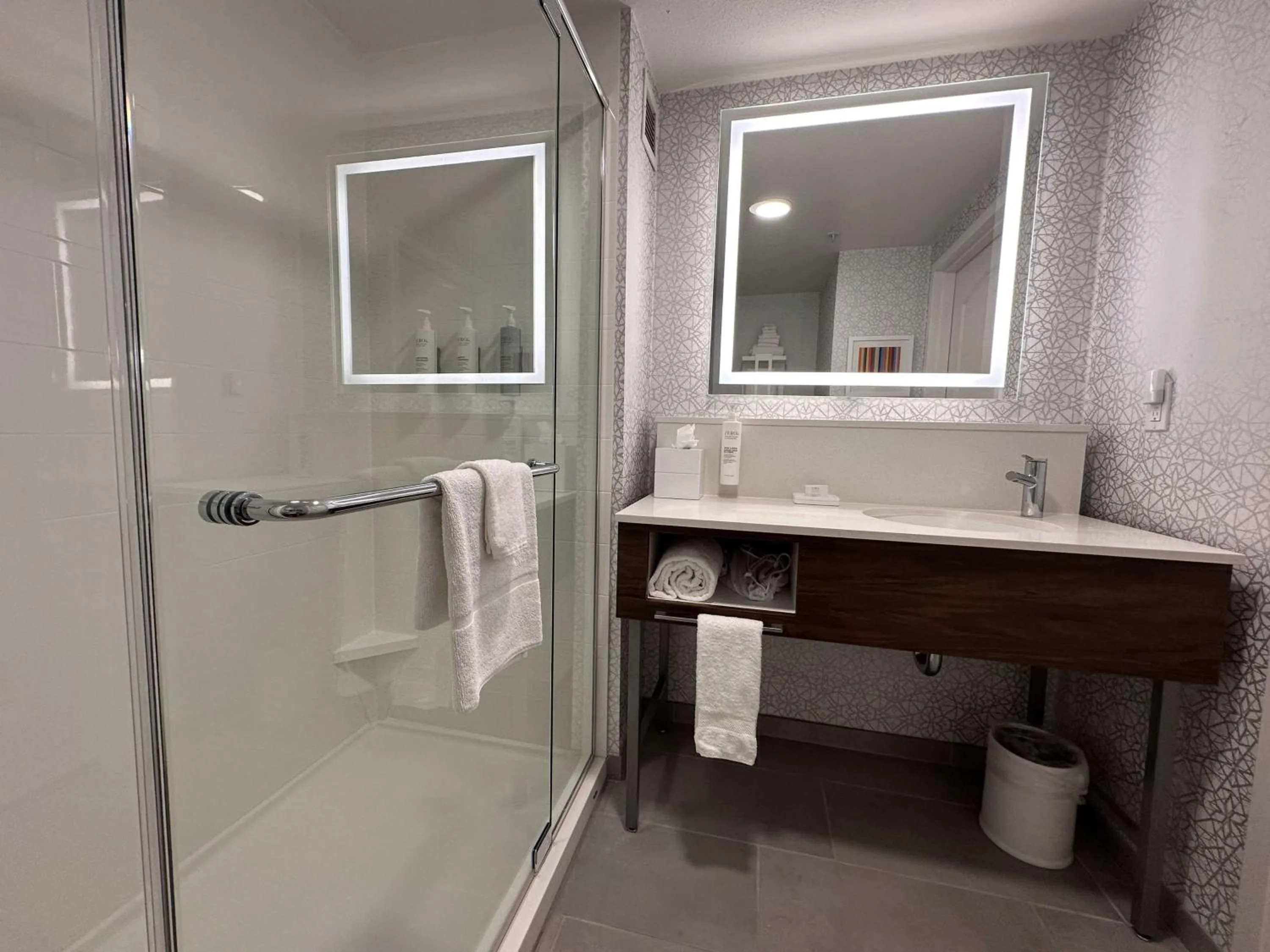 Bathroom in Hampton Inn Milpitas