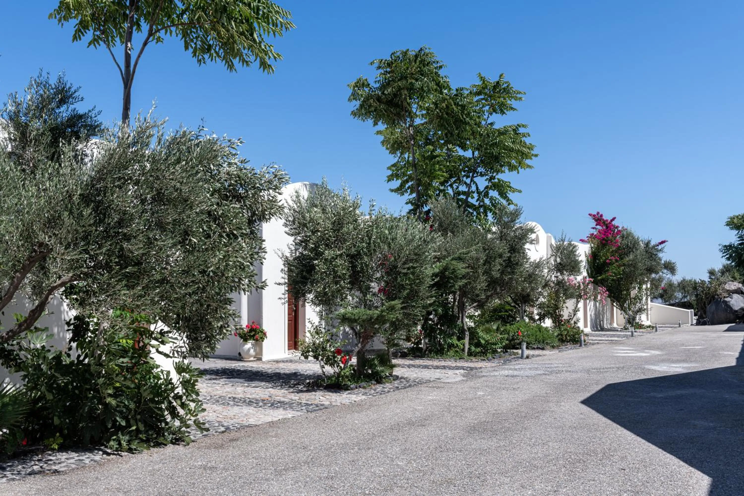 Garden in Splendour Hotel and Suites