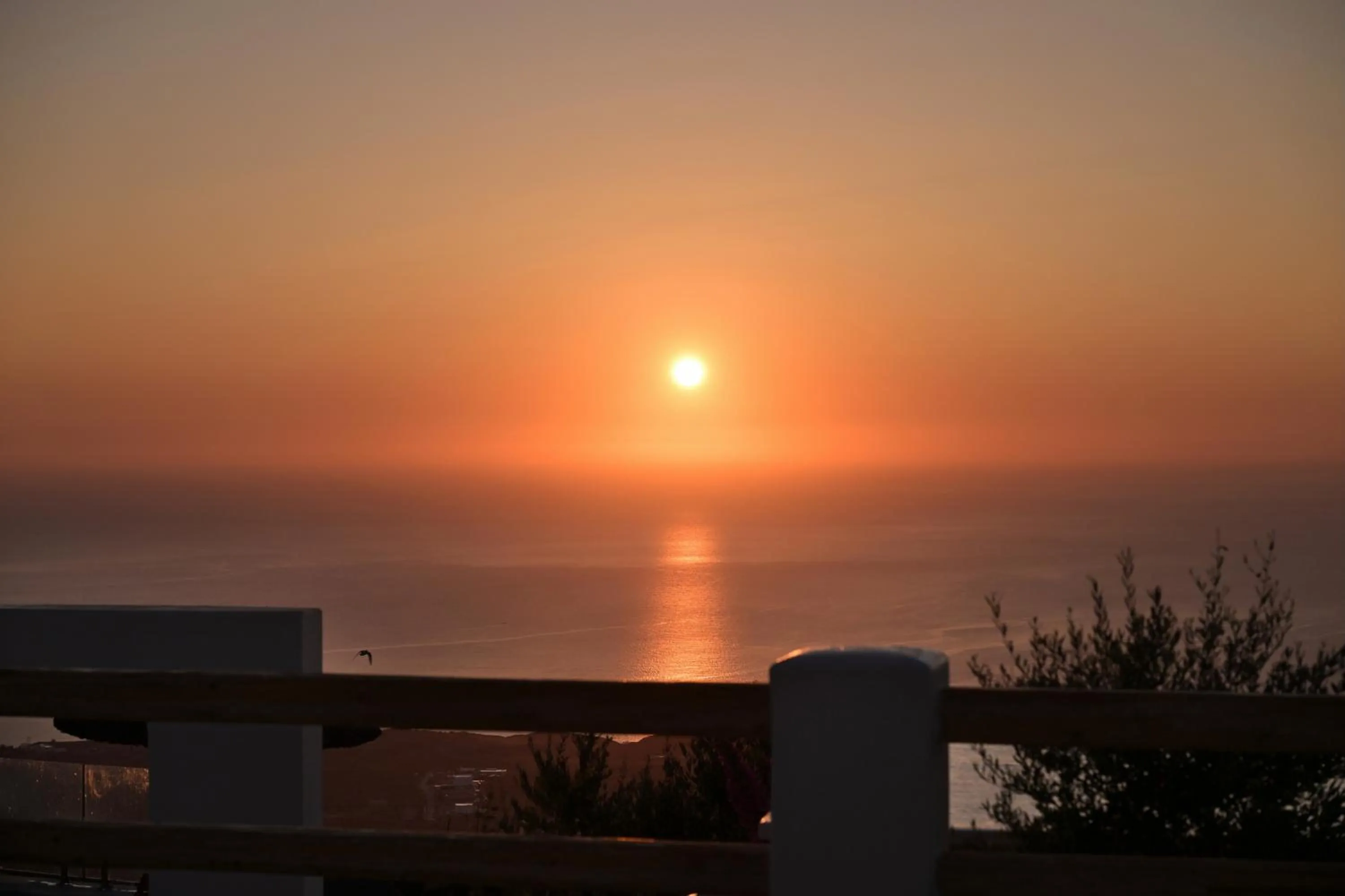 Splendour Hotel and Suites