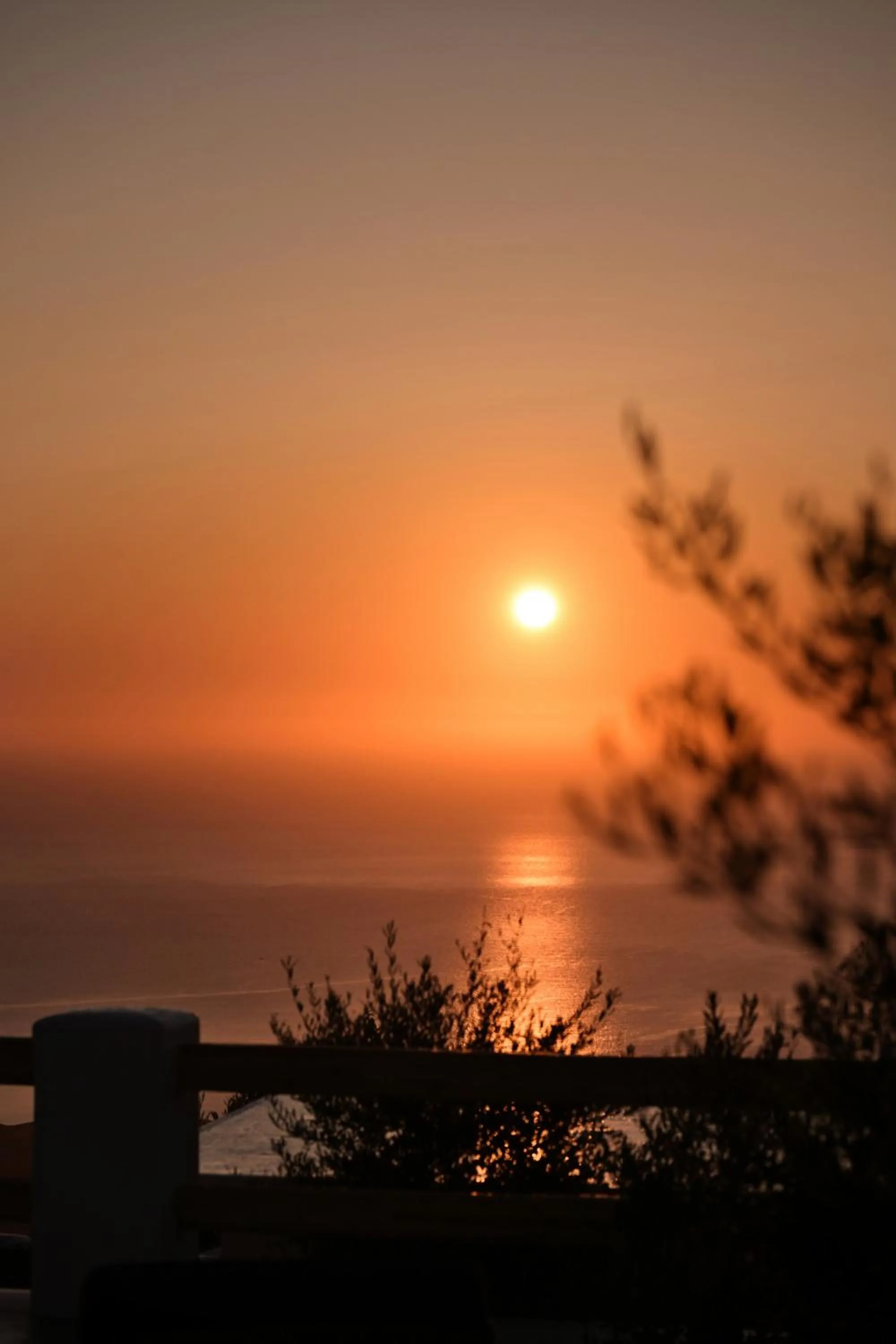 Splendour Hotel and Suites