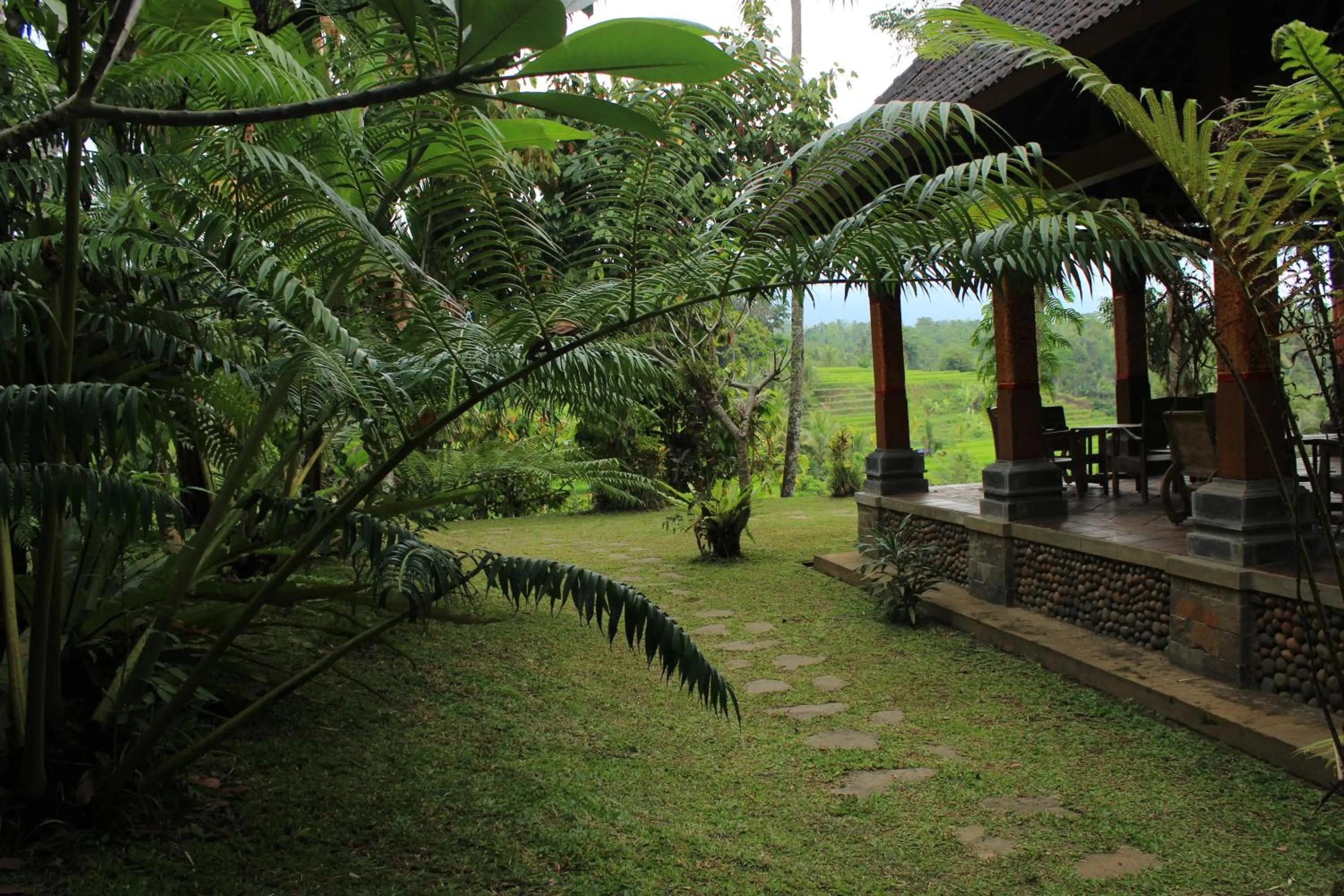 Natural landscape in Saridevi Ecolodge