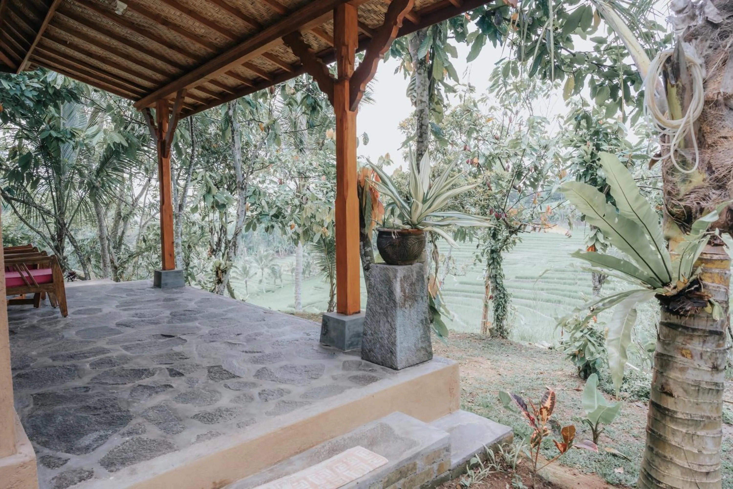 Patio in Saridevi Ecolodge