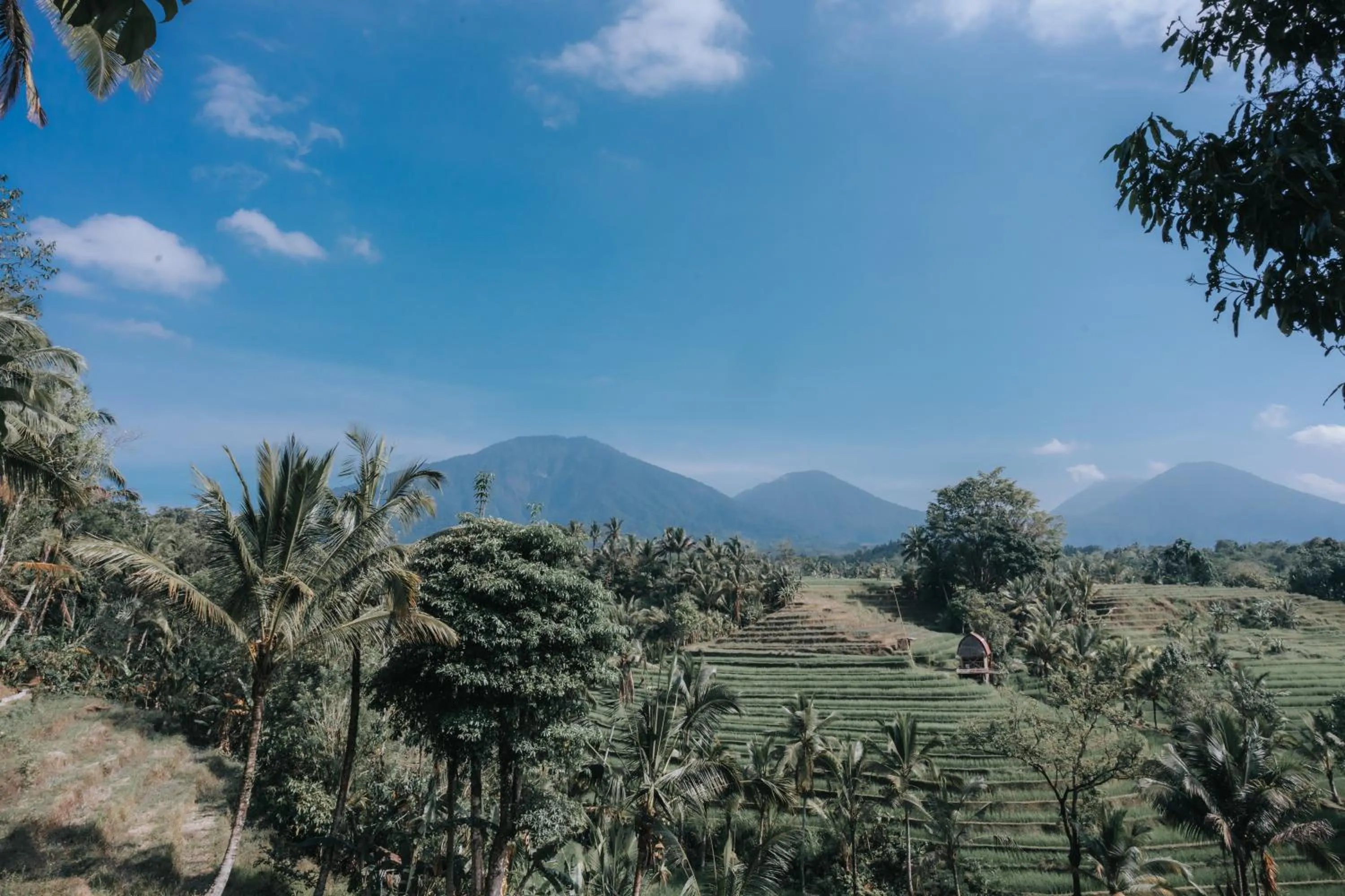 Restaurant/places to eat in Saridevi Ecolodge