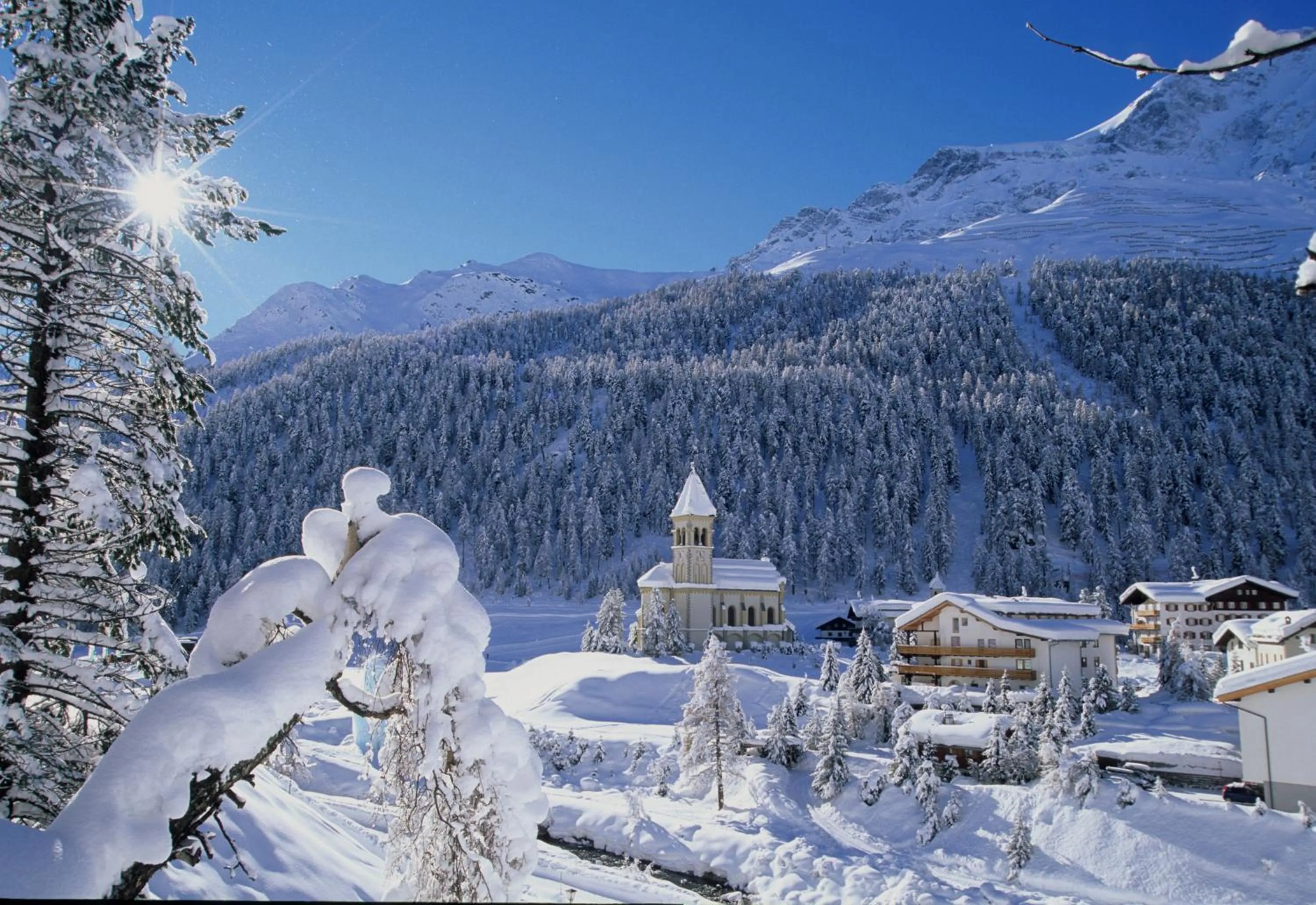 Natural landscape in Hotel Mignon