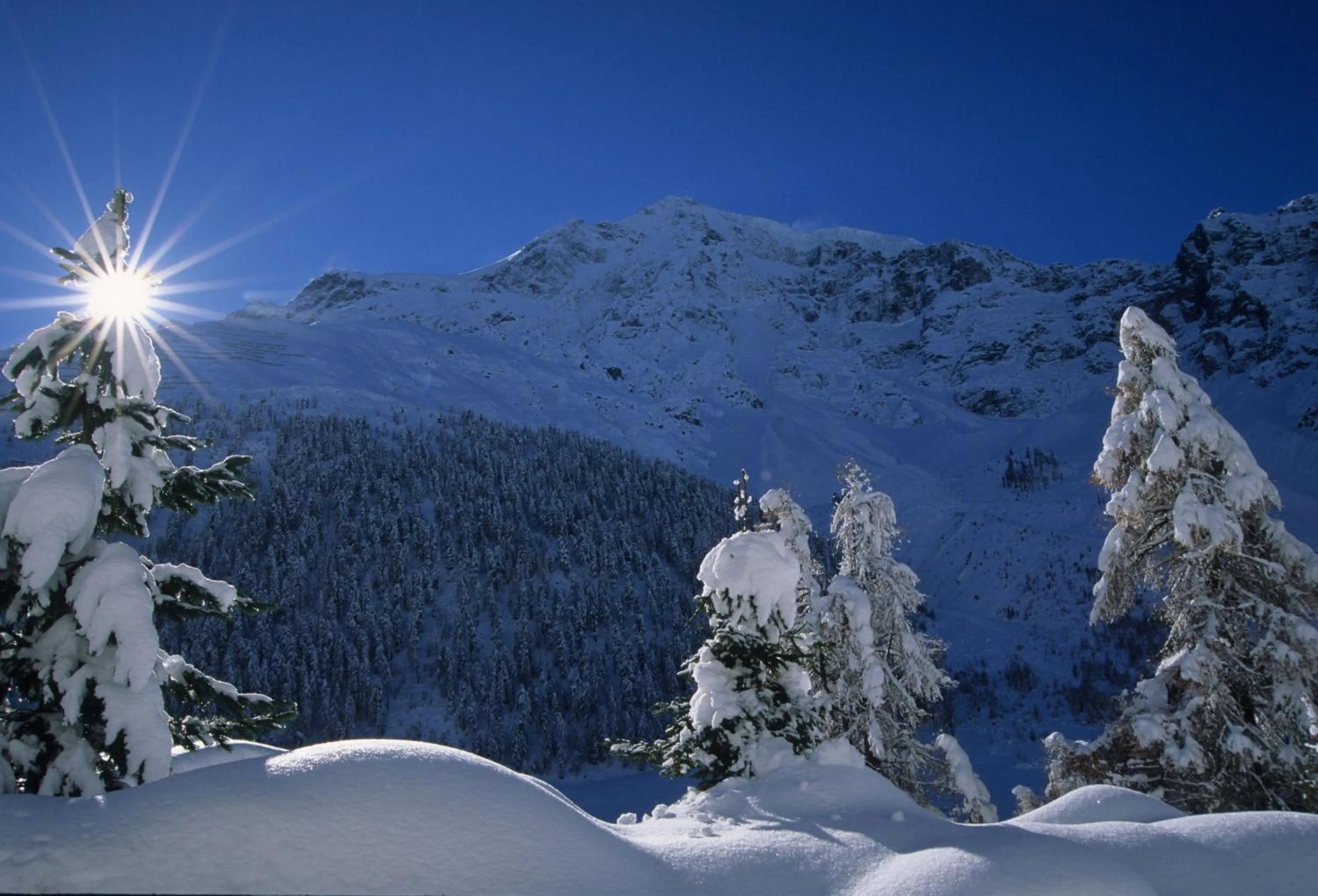 Natural landscape in Hotel Mignon