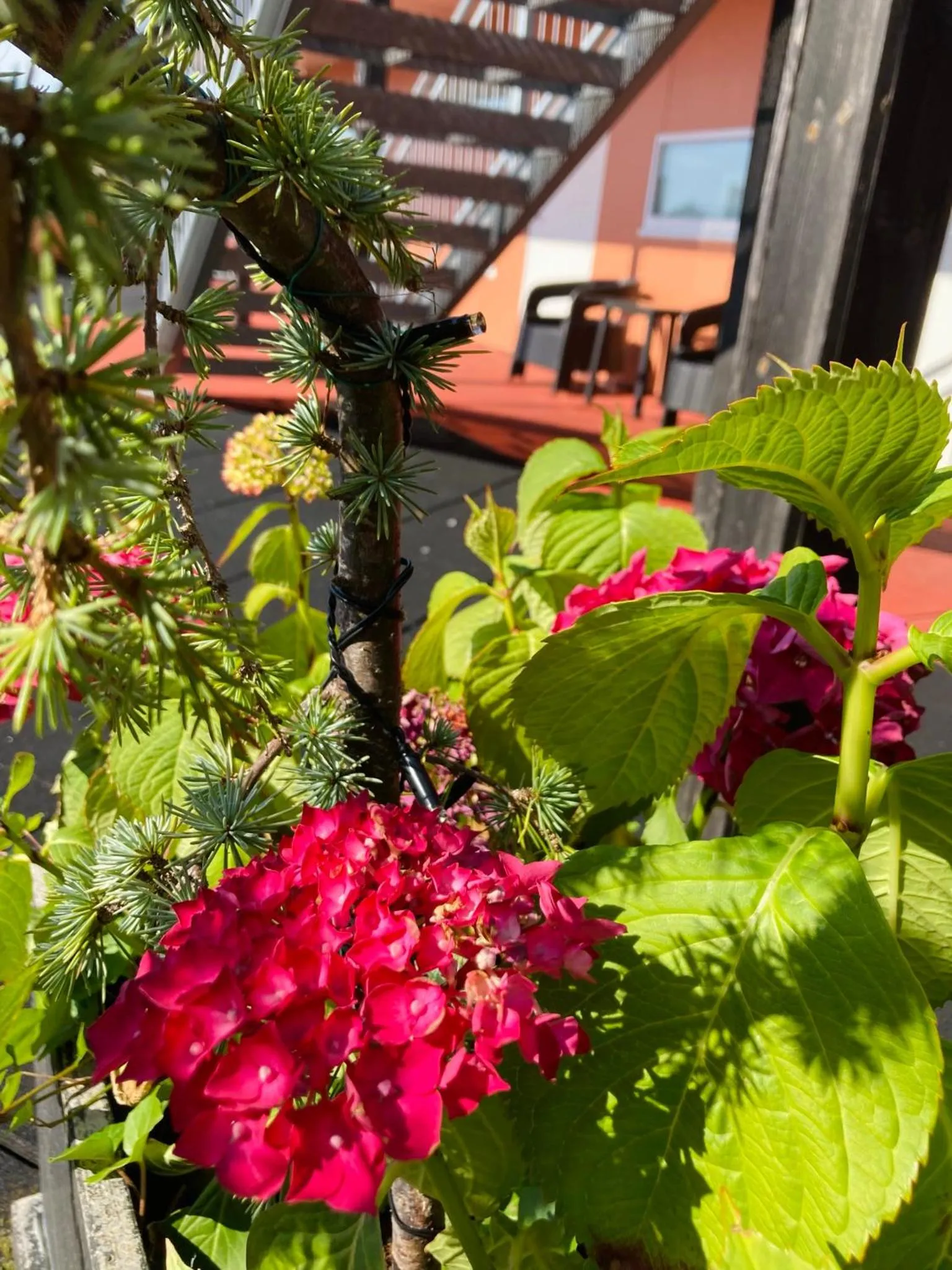 Flotmyrgården Apartment Hotel