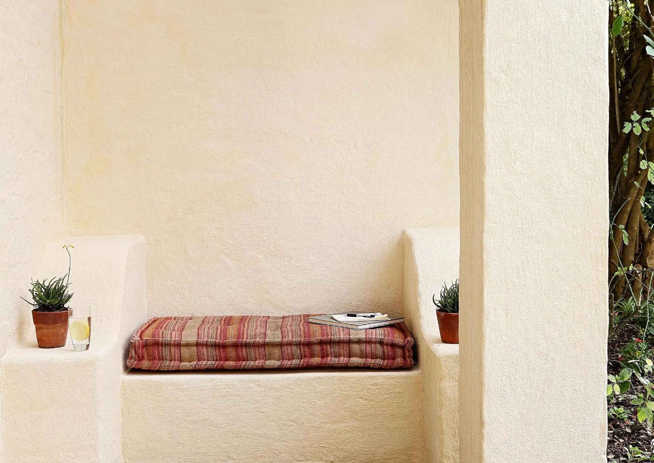 Other in Elephant House