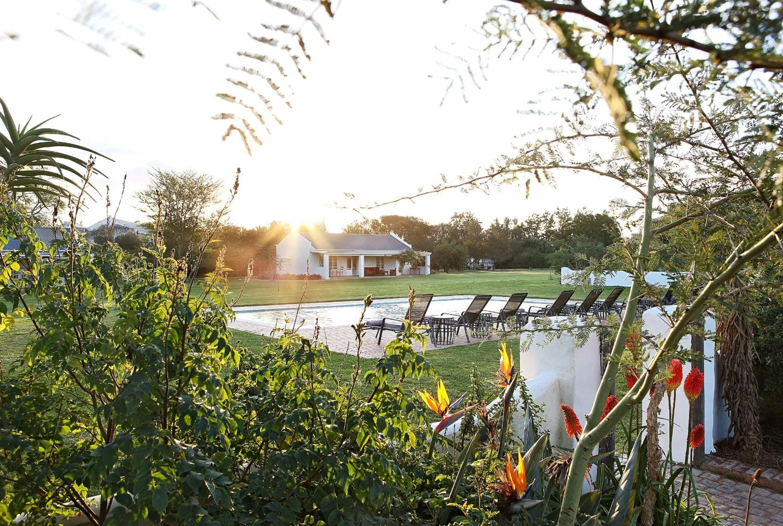 Day in Elephant House