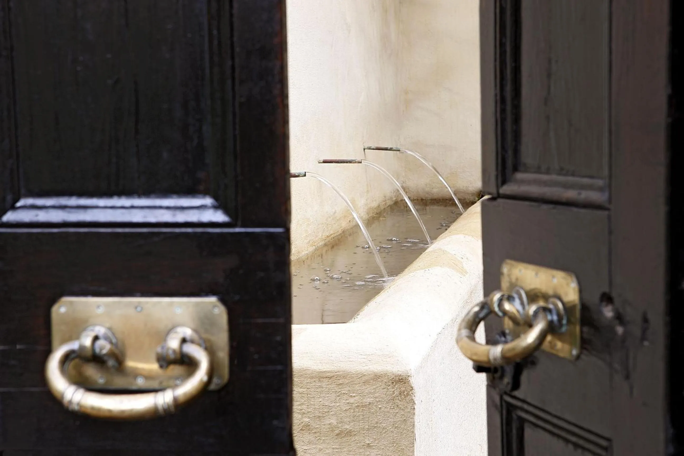 Other in Elephant House