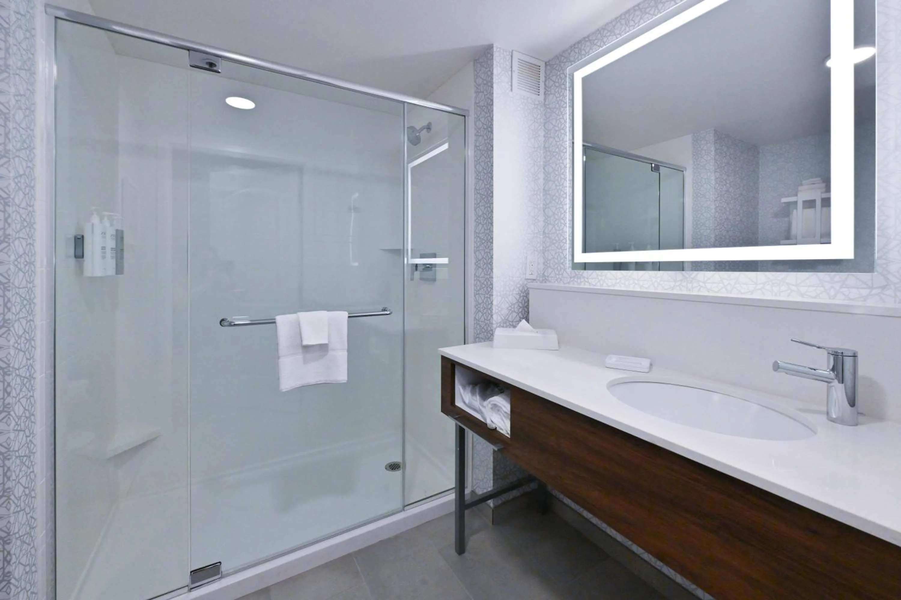 Bathroom in Hampton Inn Fremont