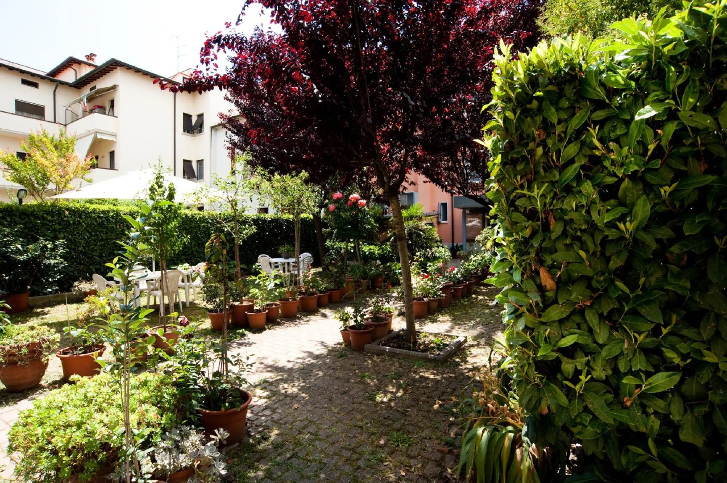 Garden in Hotel La Toscana