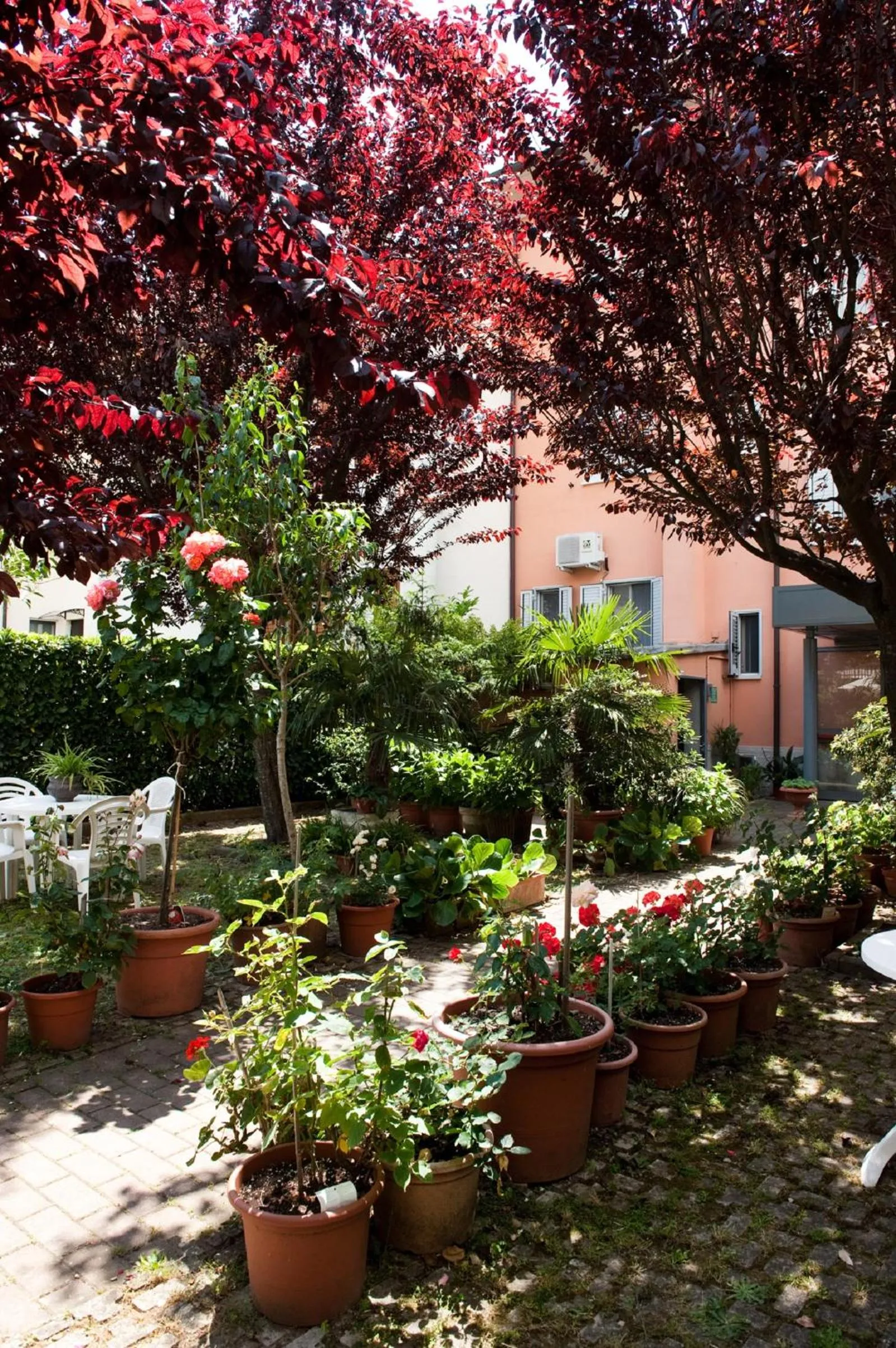 Garden in Hotel La Toscana