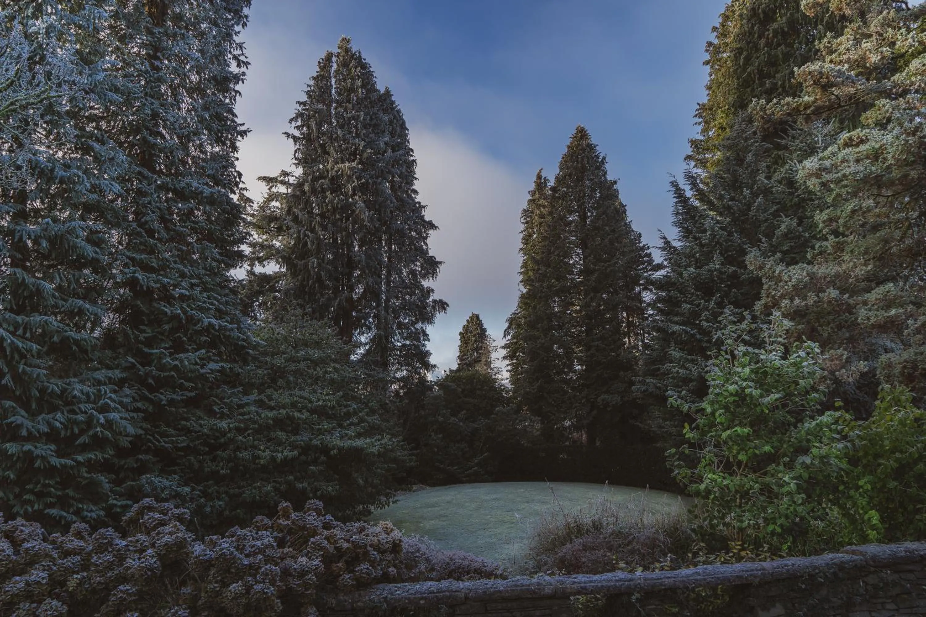 View (from property/room) in Briery Wood Hotel