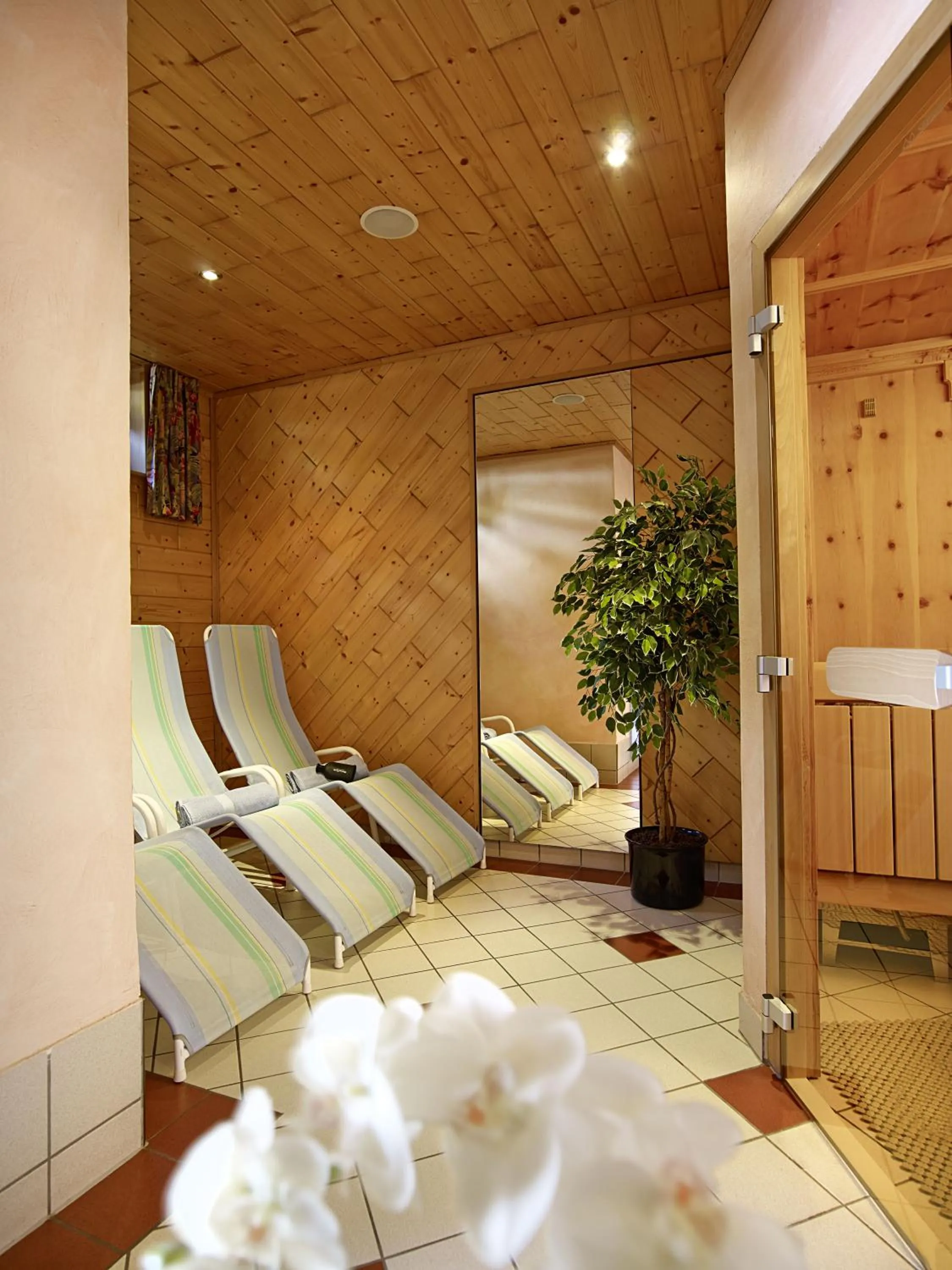 Spa and wellness centre/facilities in Hotel Traube