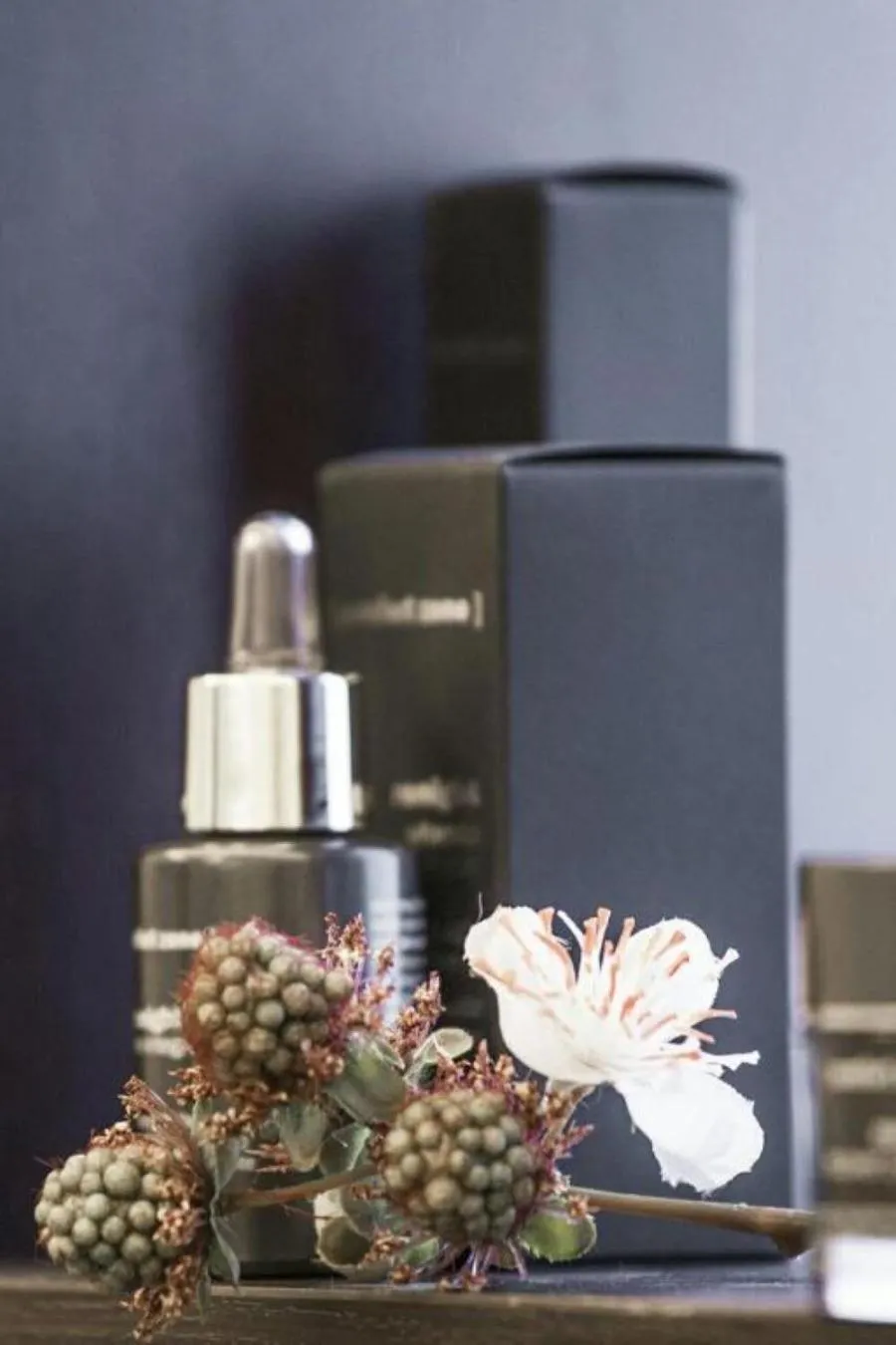 Spa and wellness centre/facilities in San Severino Park Hotel & SPA, BW Signature Collection