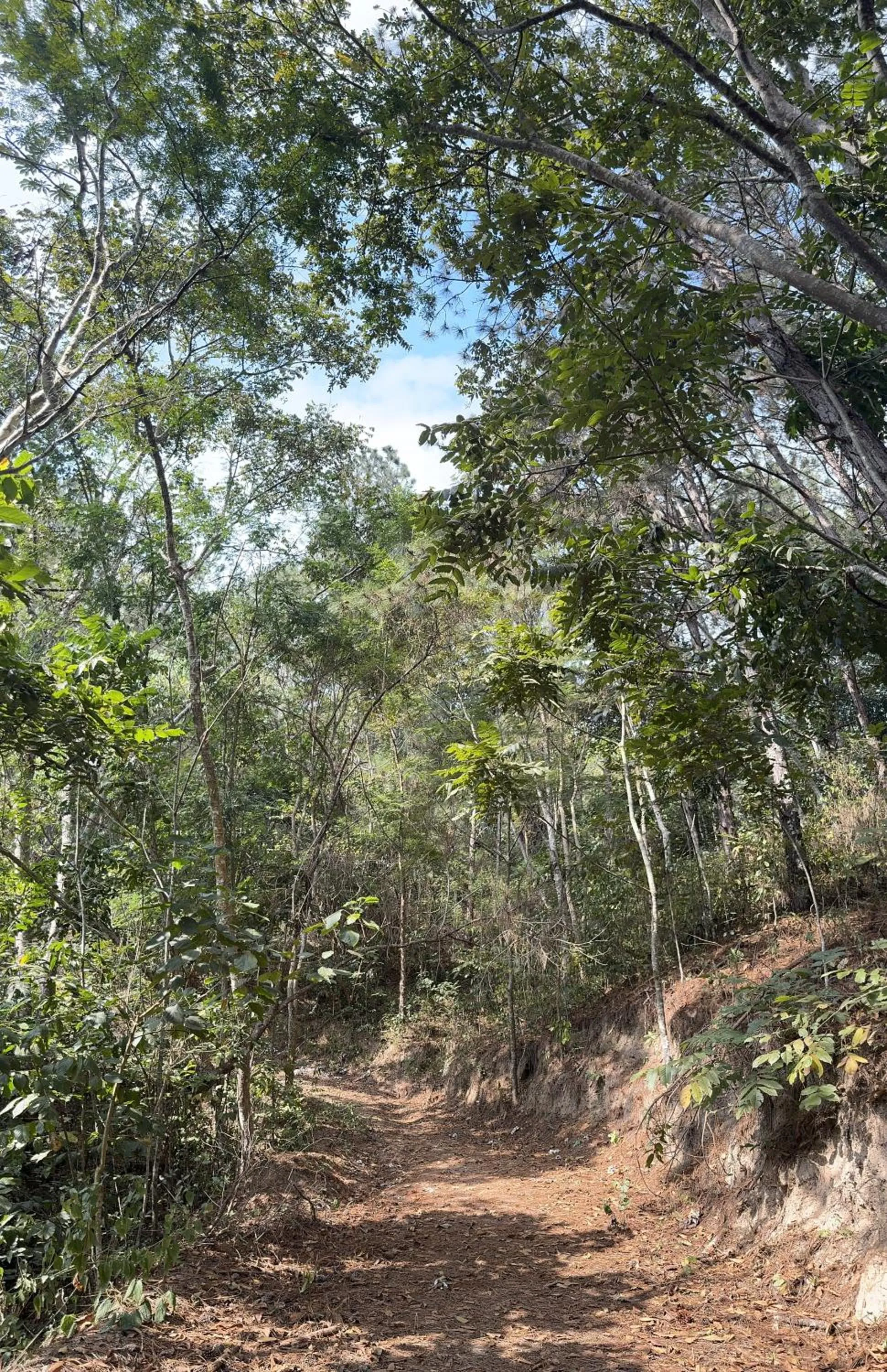 Guararema Parque Hotel