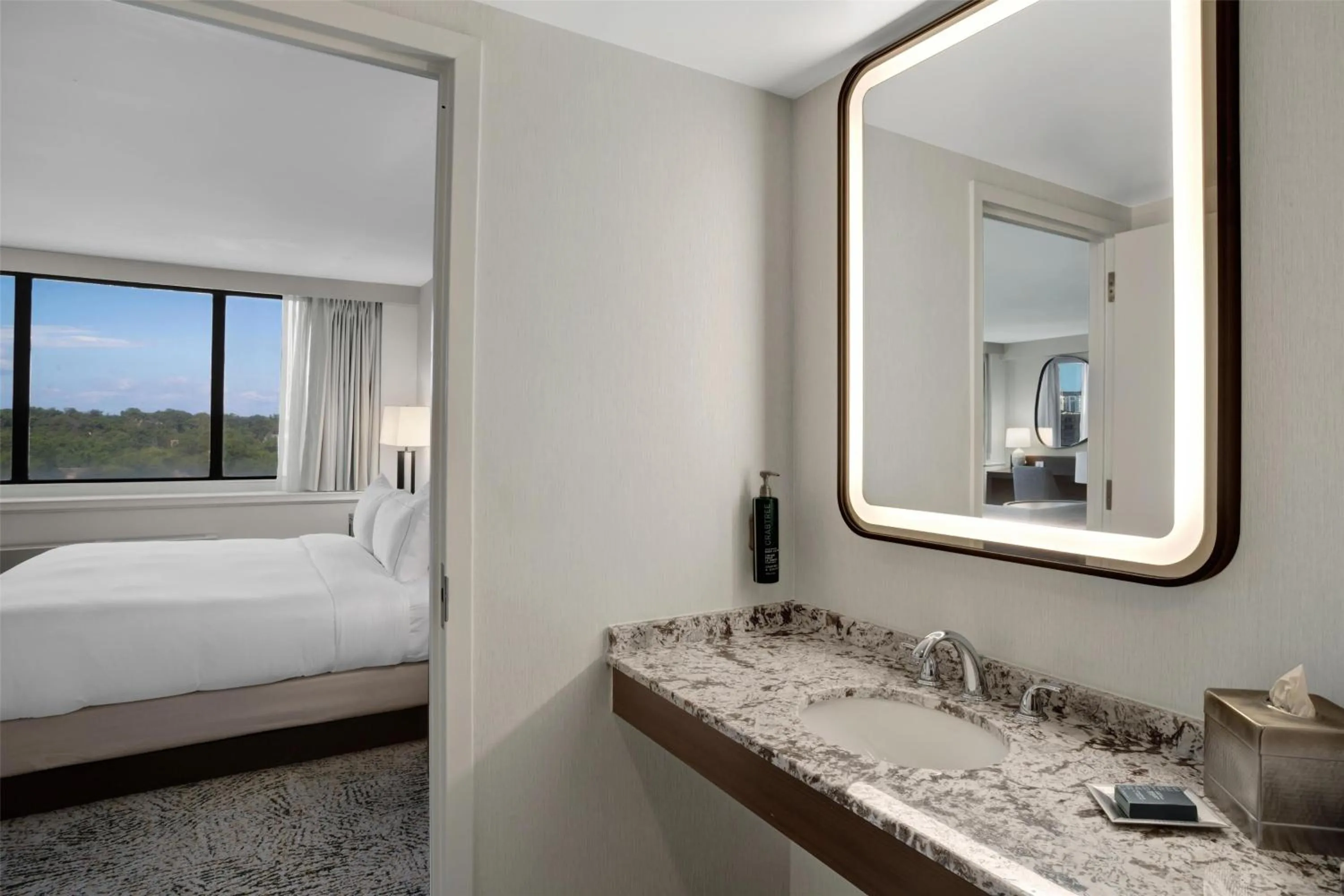 Bathroom, Bed in Hilton Arlington National Landing