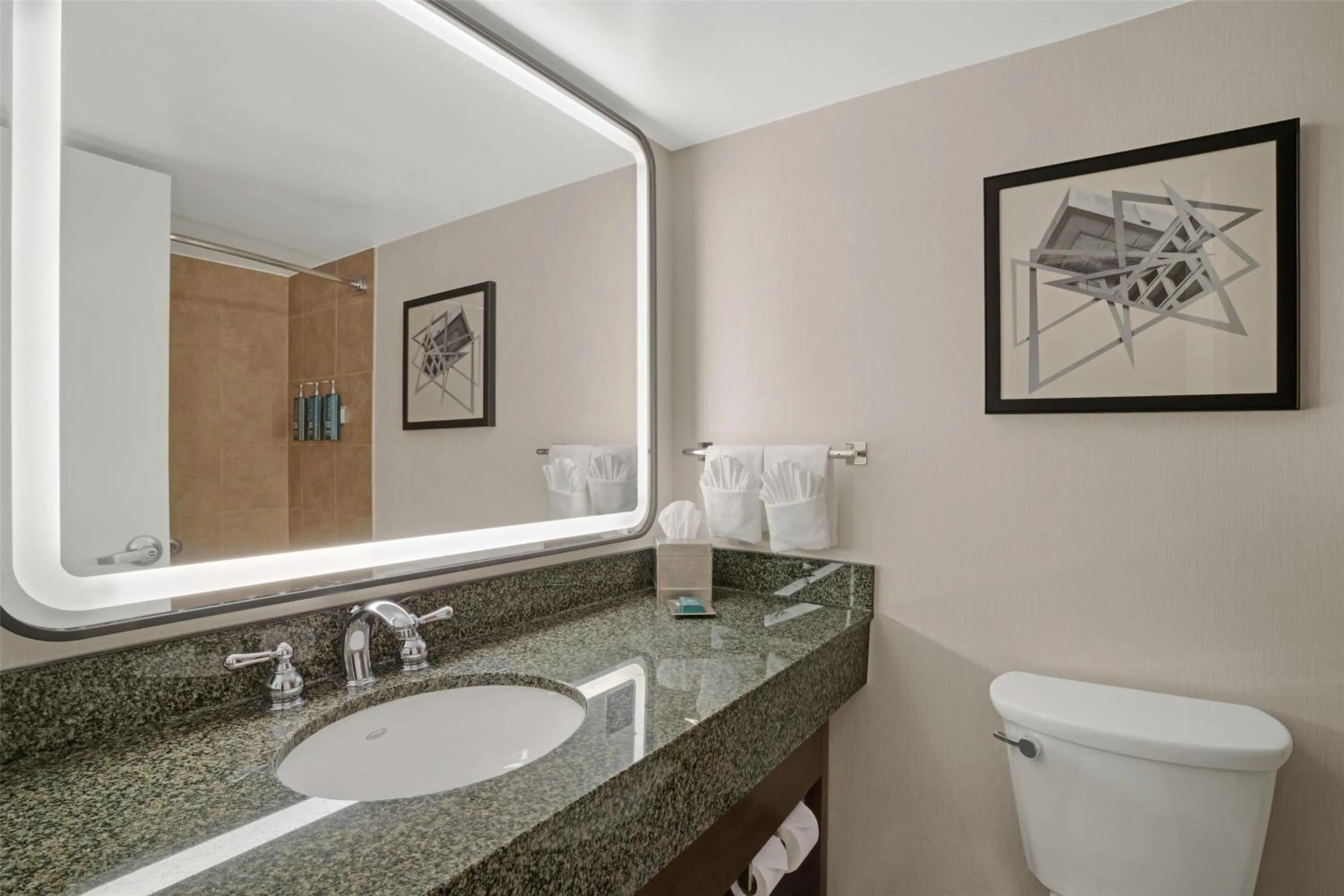 Bathroom in Hilton Arlington National Landing