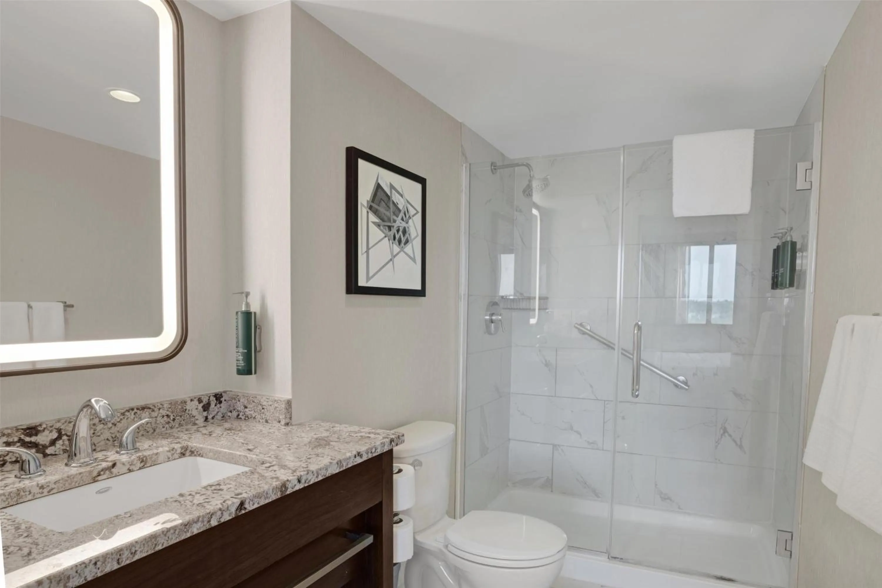 Bathroom in Hilton Arlington National Landing