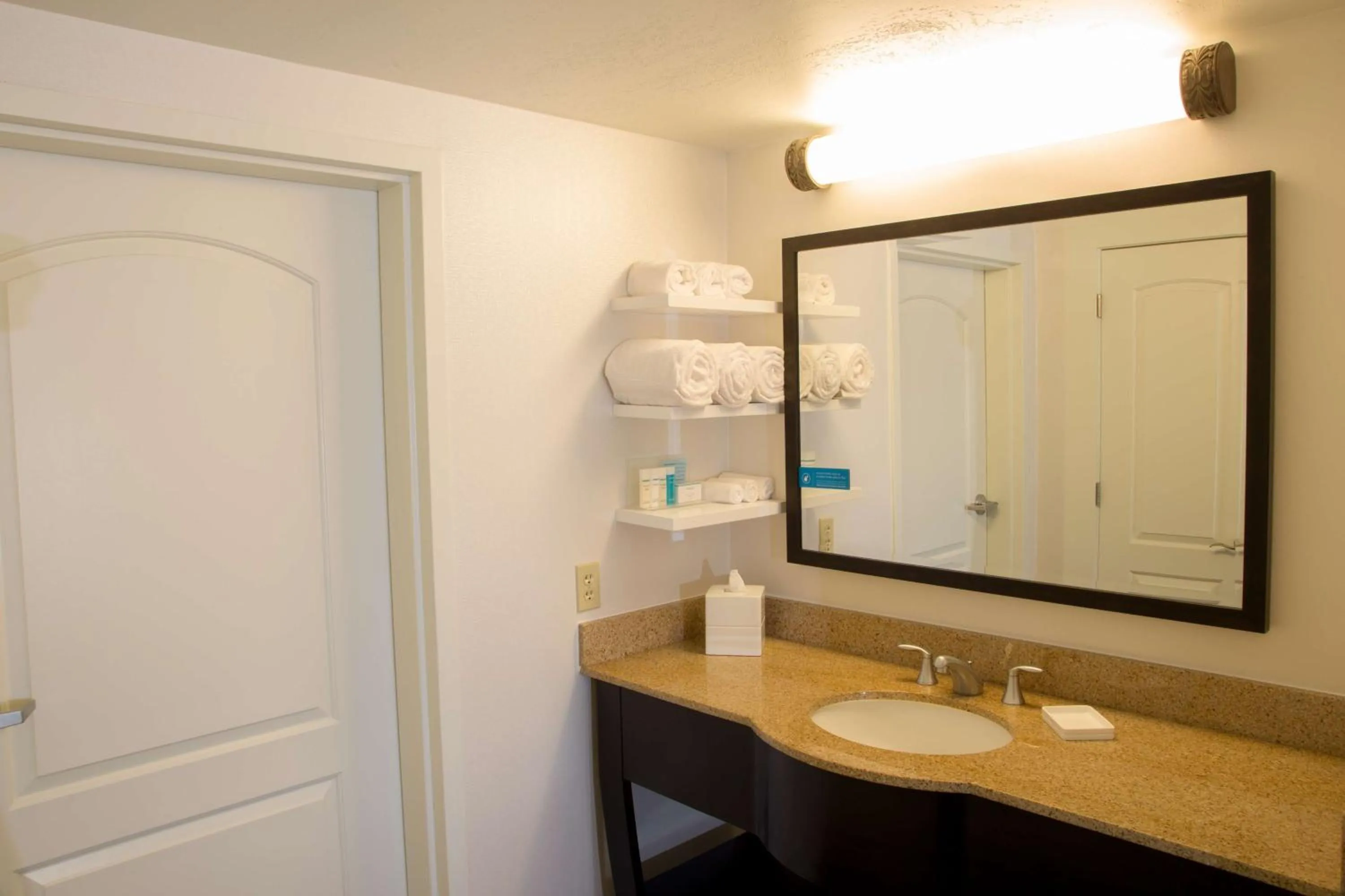 Bathroom in Hampton Inn & Suites Albany-Downtown