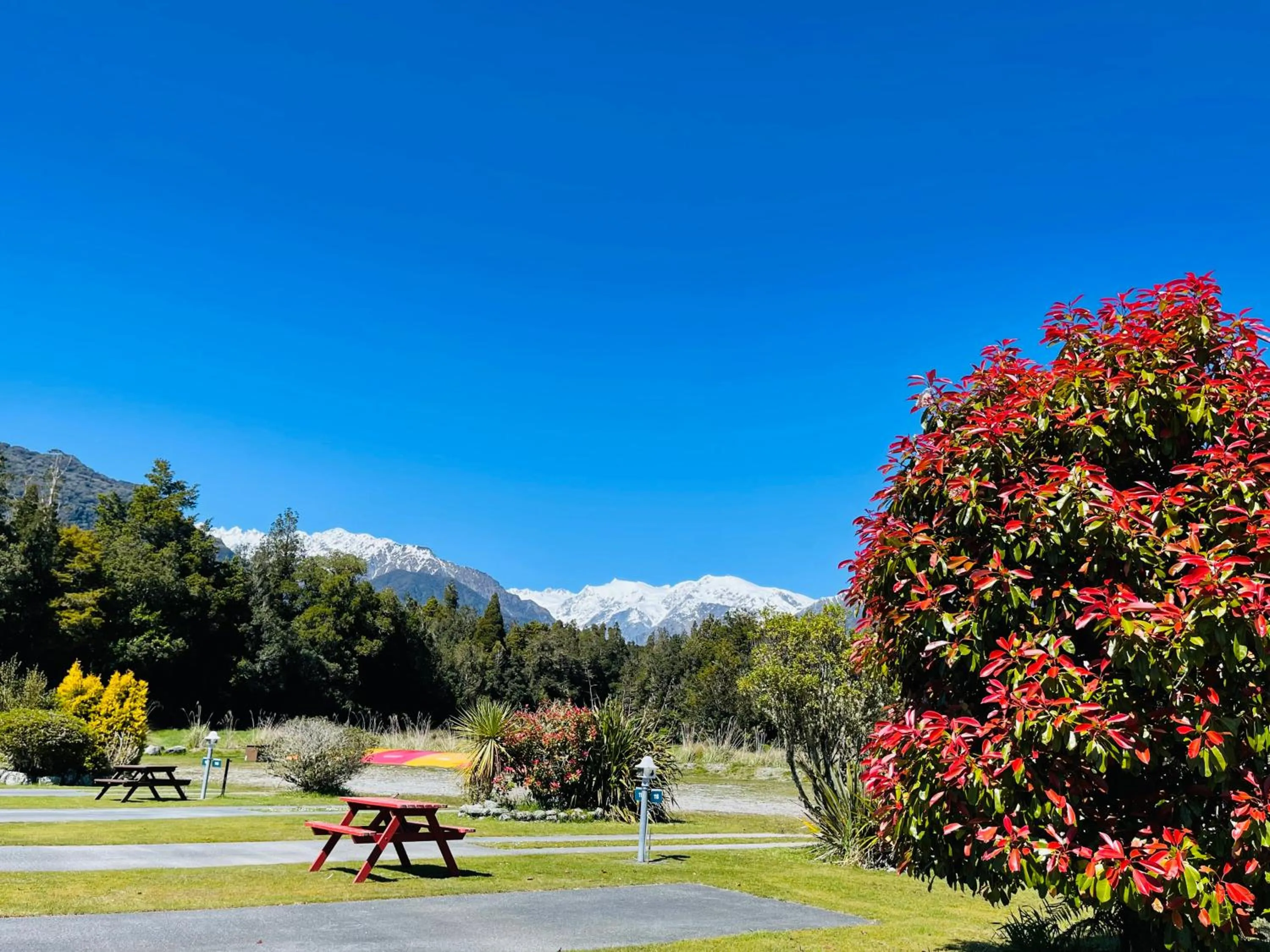 Garden in Franz Josef TOP 10 Holiday Park