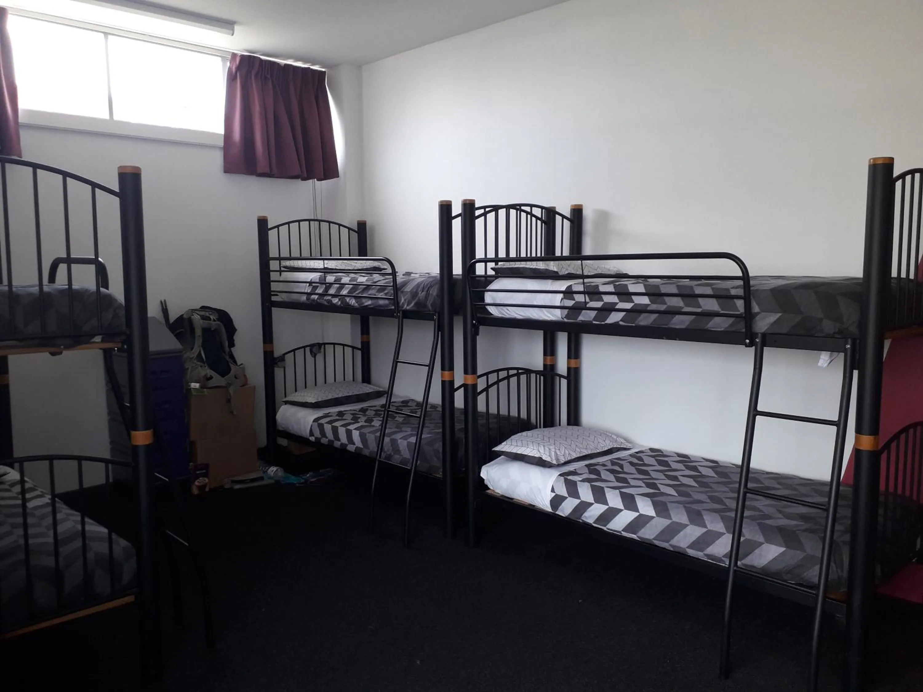 bunk bed, Bed in YHA Nelson - Backpackers