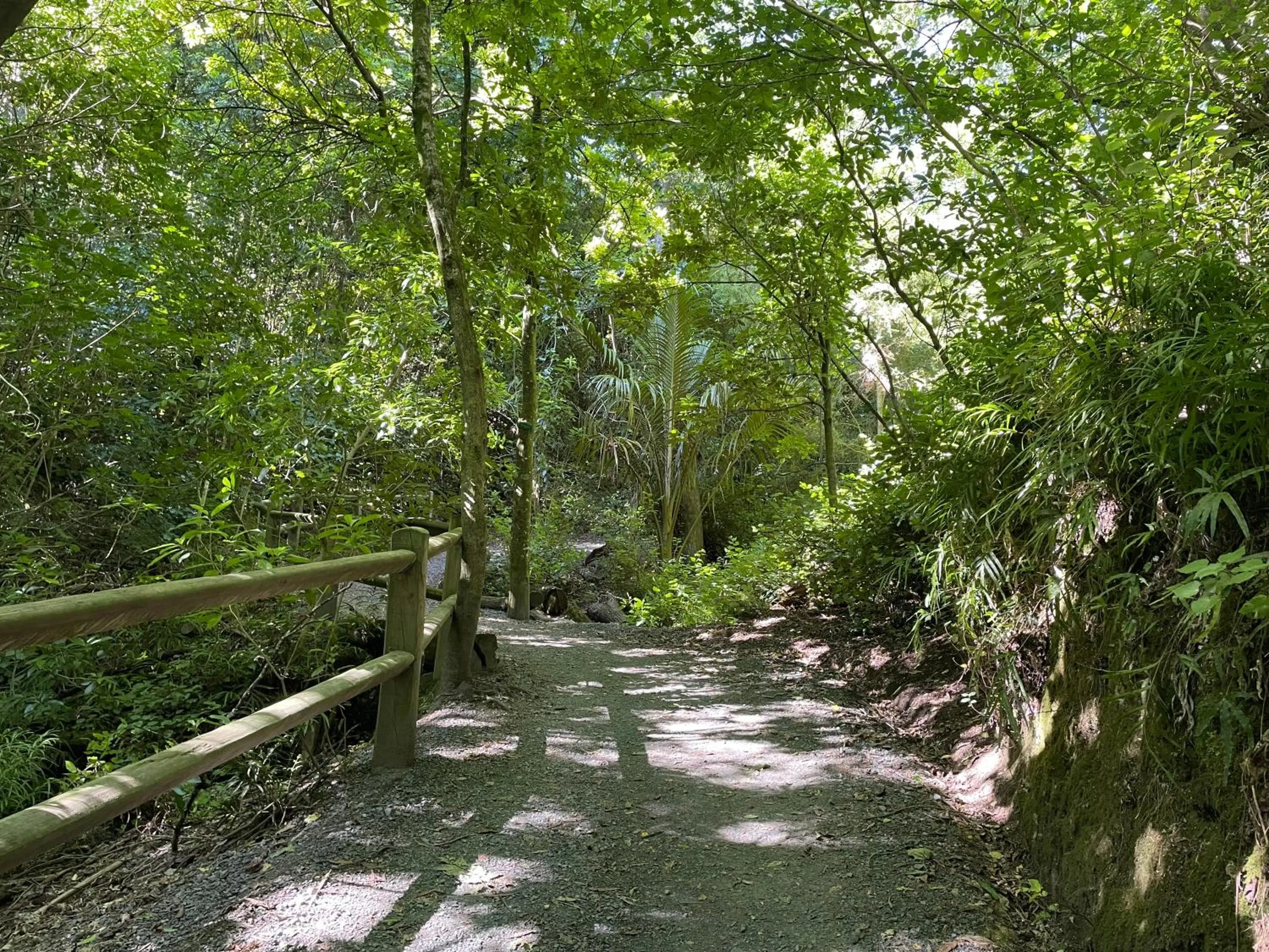 Natural landscape in YHA Nelson - Backpackers